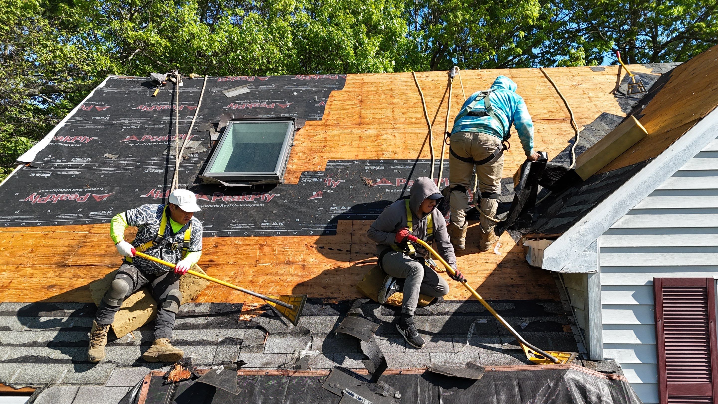 Siding, Roofing & Skylights | Haverhill by Mighty Dog Roofing of Greater Middlesex County