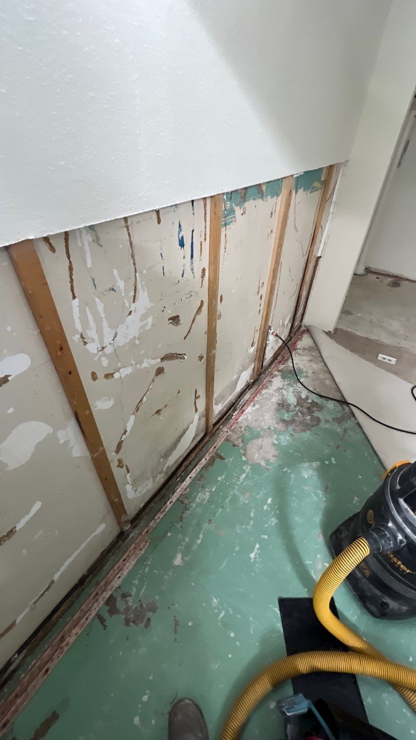 Mold Remediation by Accountable Home Services