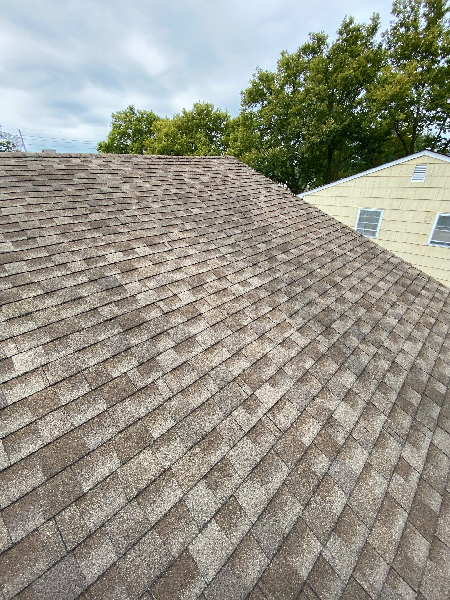 Shakewood Shingles by Reimagine Roofing