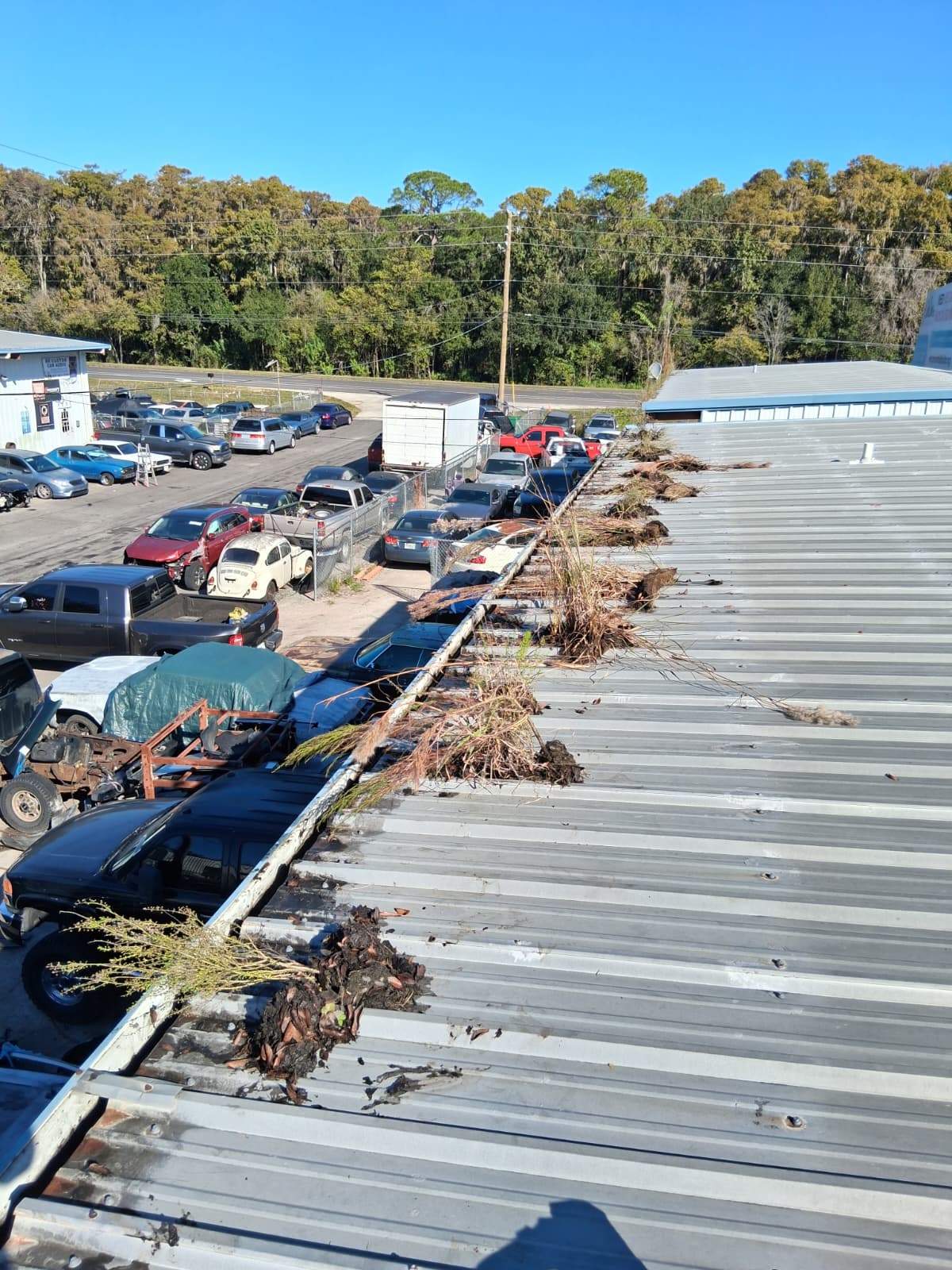 Clean Gutters and Seal Seams in Lakeland FL by Gutter Professors