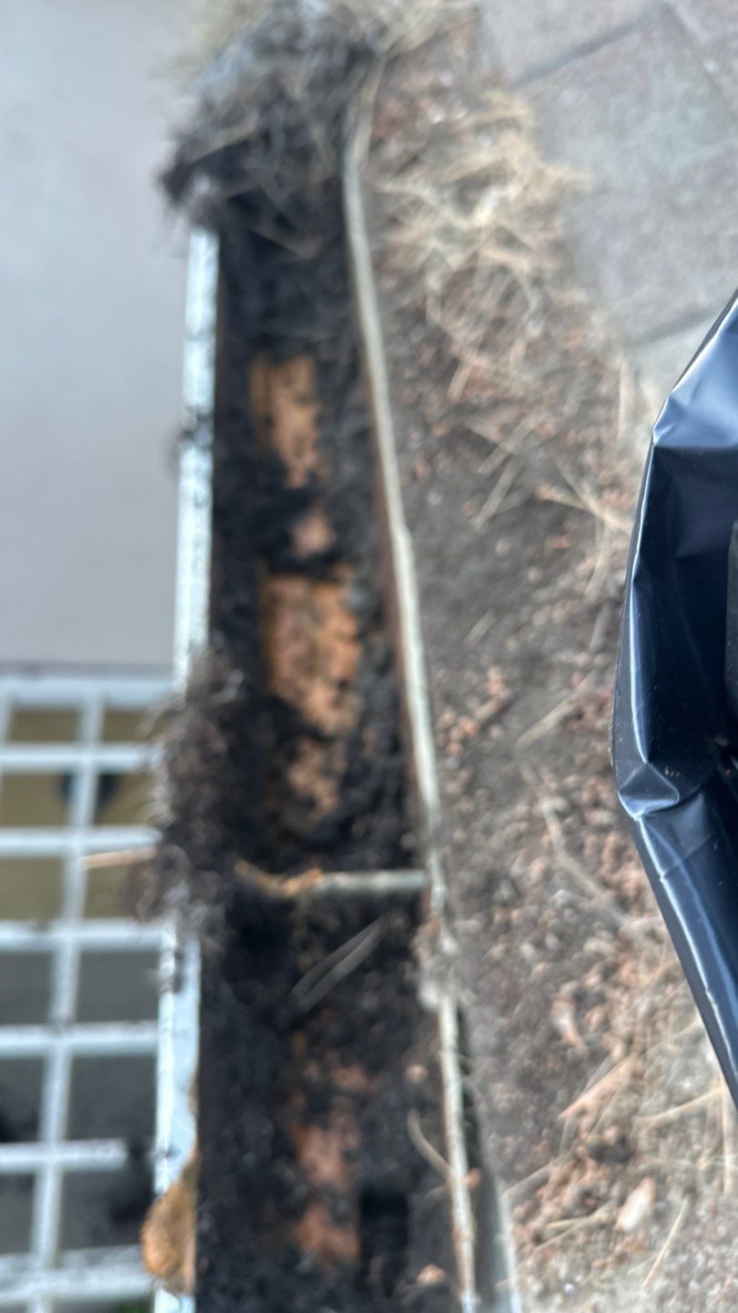 Lake Forest Gutter Cleaning - Pine Needles Cleared after 10 plus years! by Property Cleaning Experts