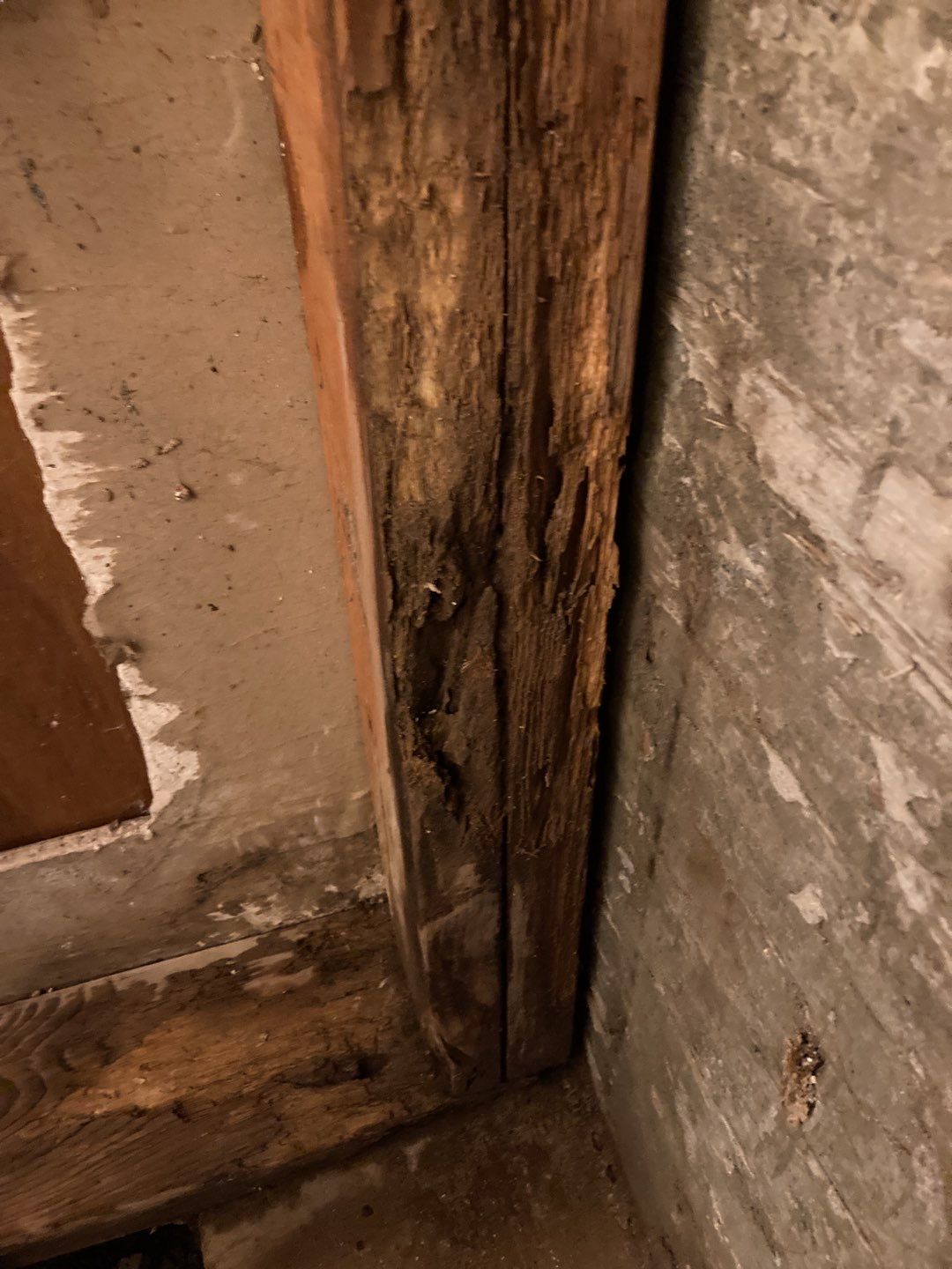 Mold Remediation in Bathroom by Accountable Home Services