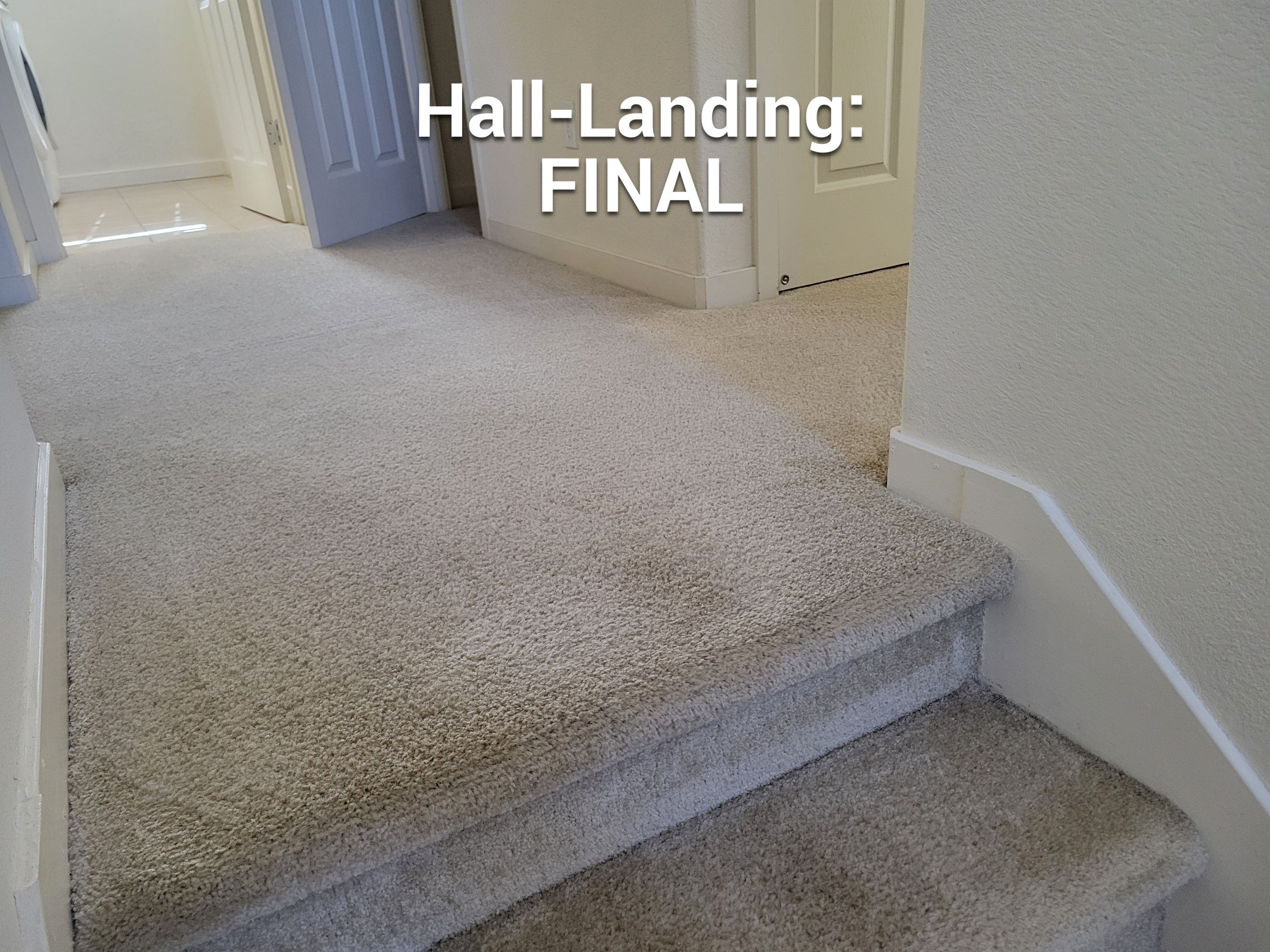 Carpet Cleaning & Stain Removal by Ardent Carpet Restore LLC