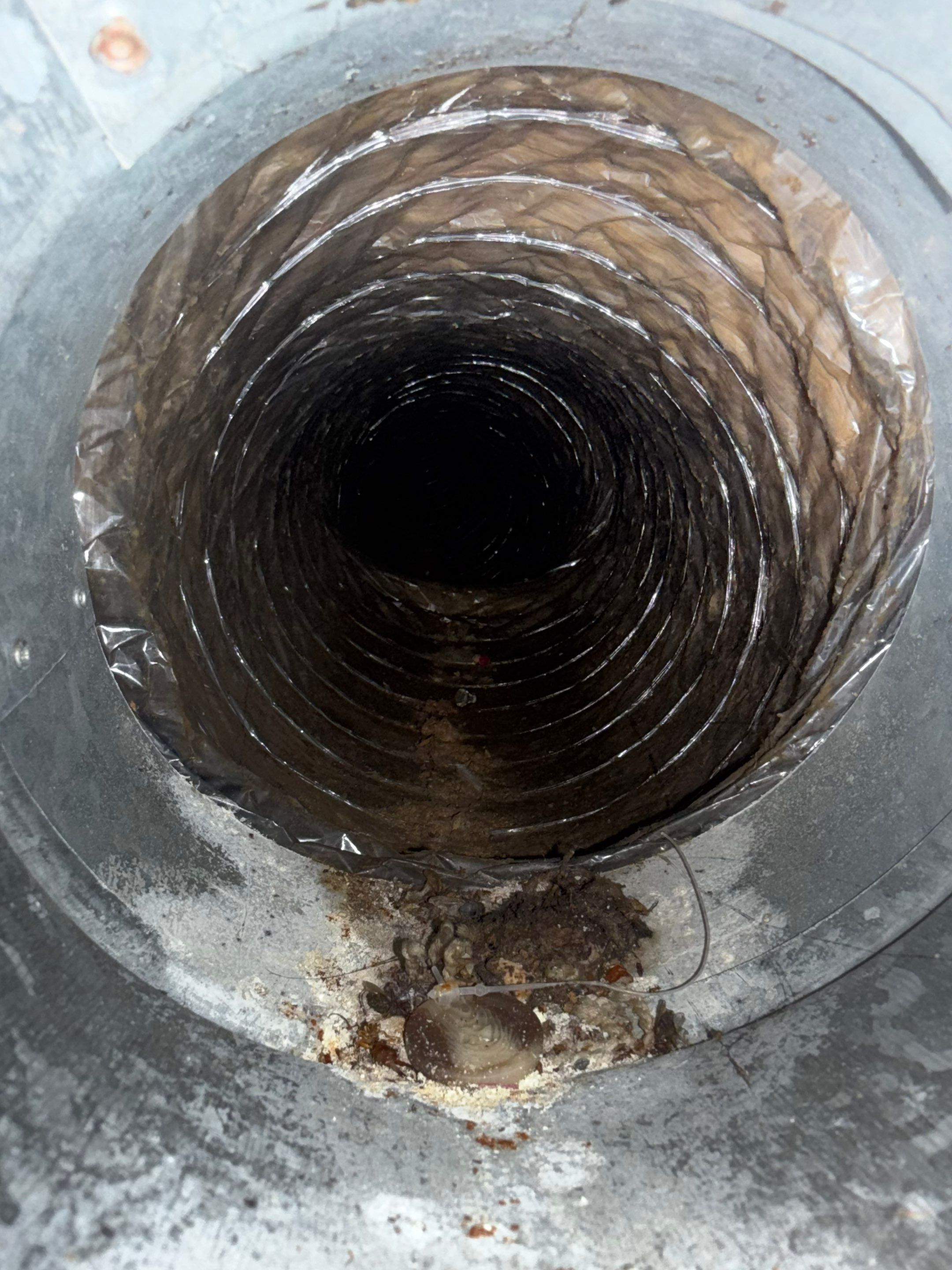 Duct Cleaning and Germicidal Kit Install in Woodstock by Elemental Heating and air conditioning LLC