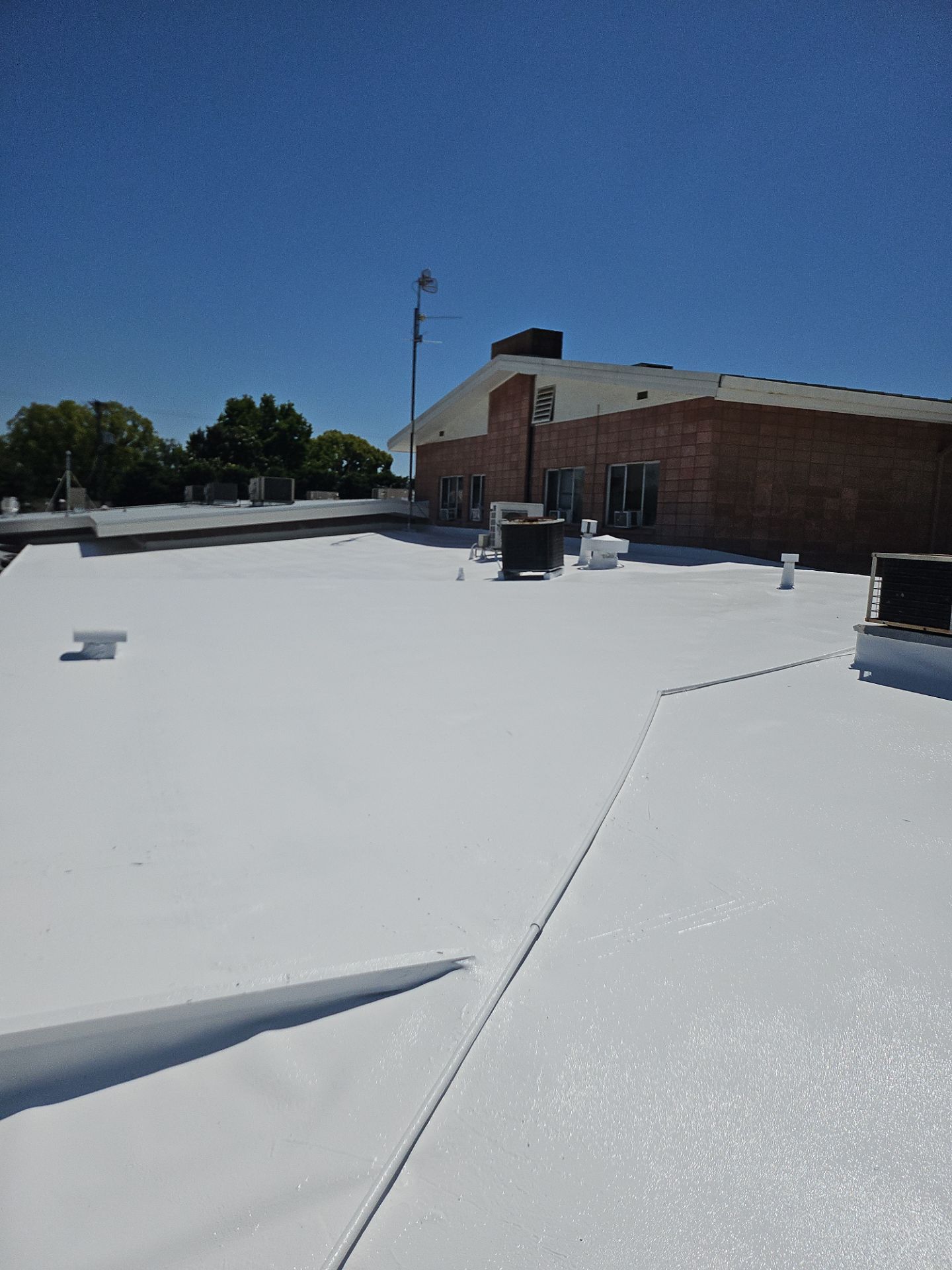 Single-ply restoration system using Benchmark/PUMA XL coatings over TPO single-ply roofing by Straight Edge Roofing Inc