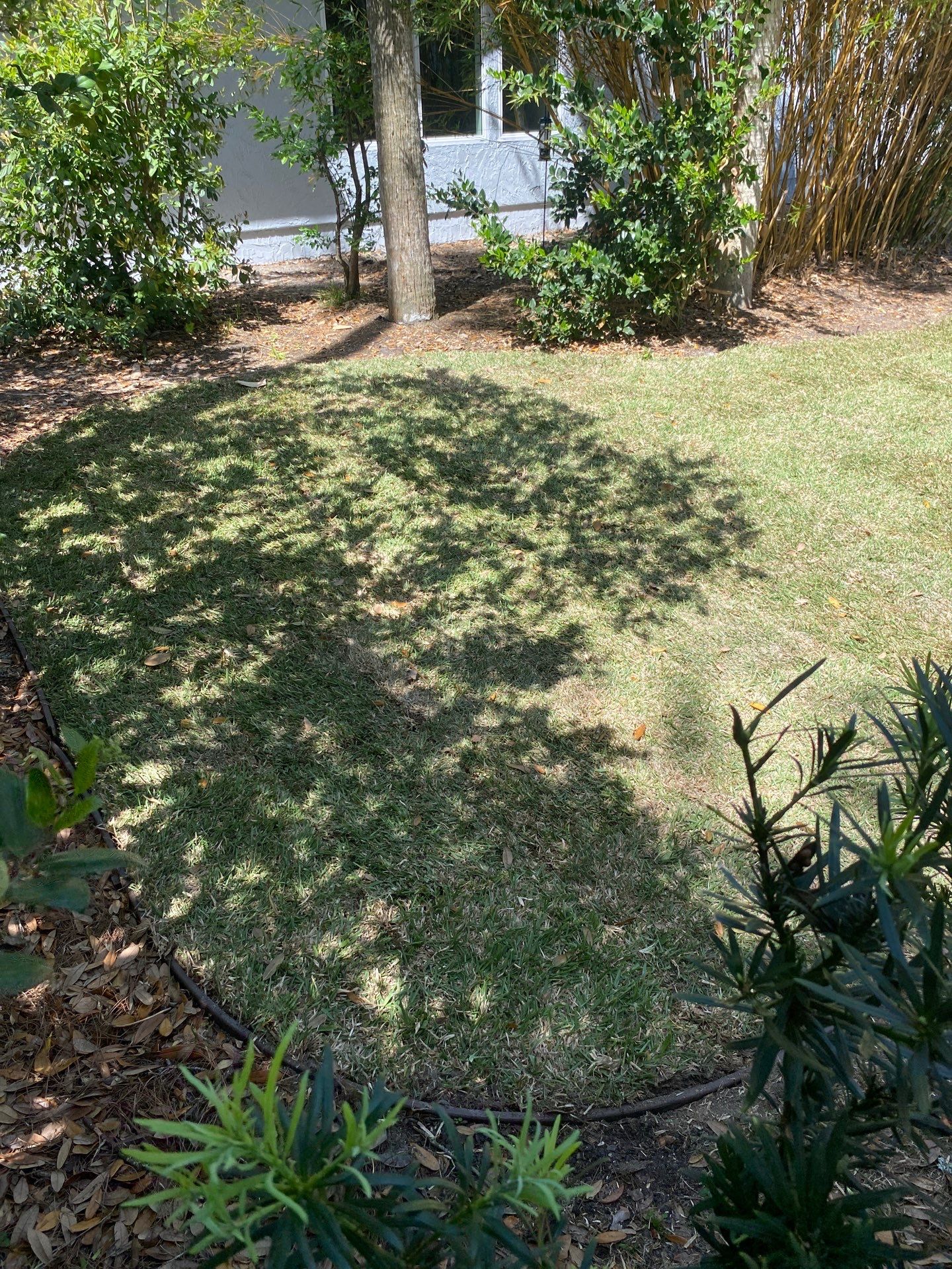 Residential | Sod Installation by ProGreen Services