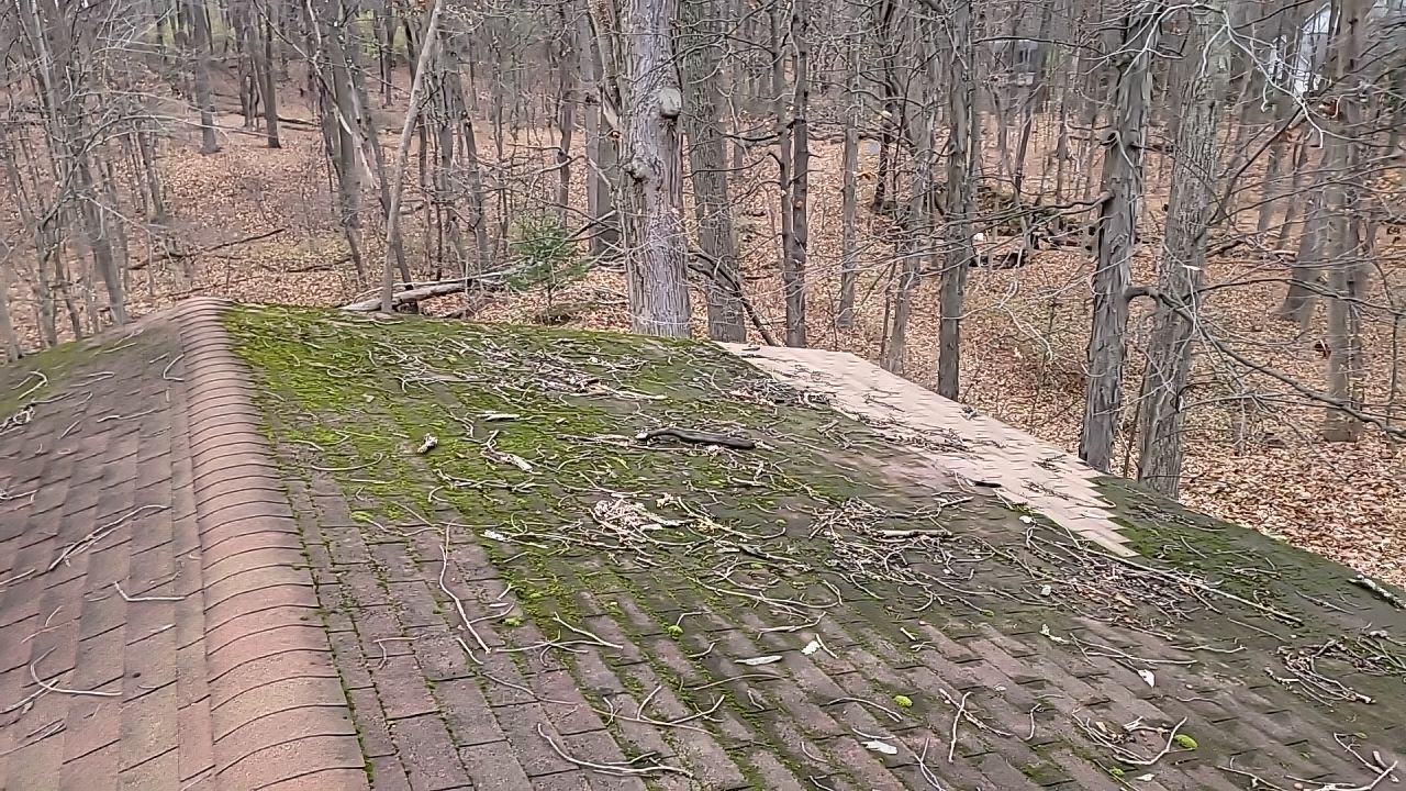 ATLAS PINNACLE COLOR: SCOTCHGARD HEATHER DRIP EDGE: MUSKET BROWN by Eagle Eye Roofing