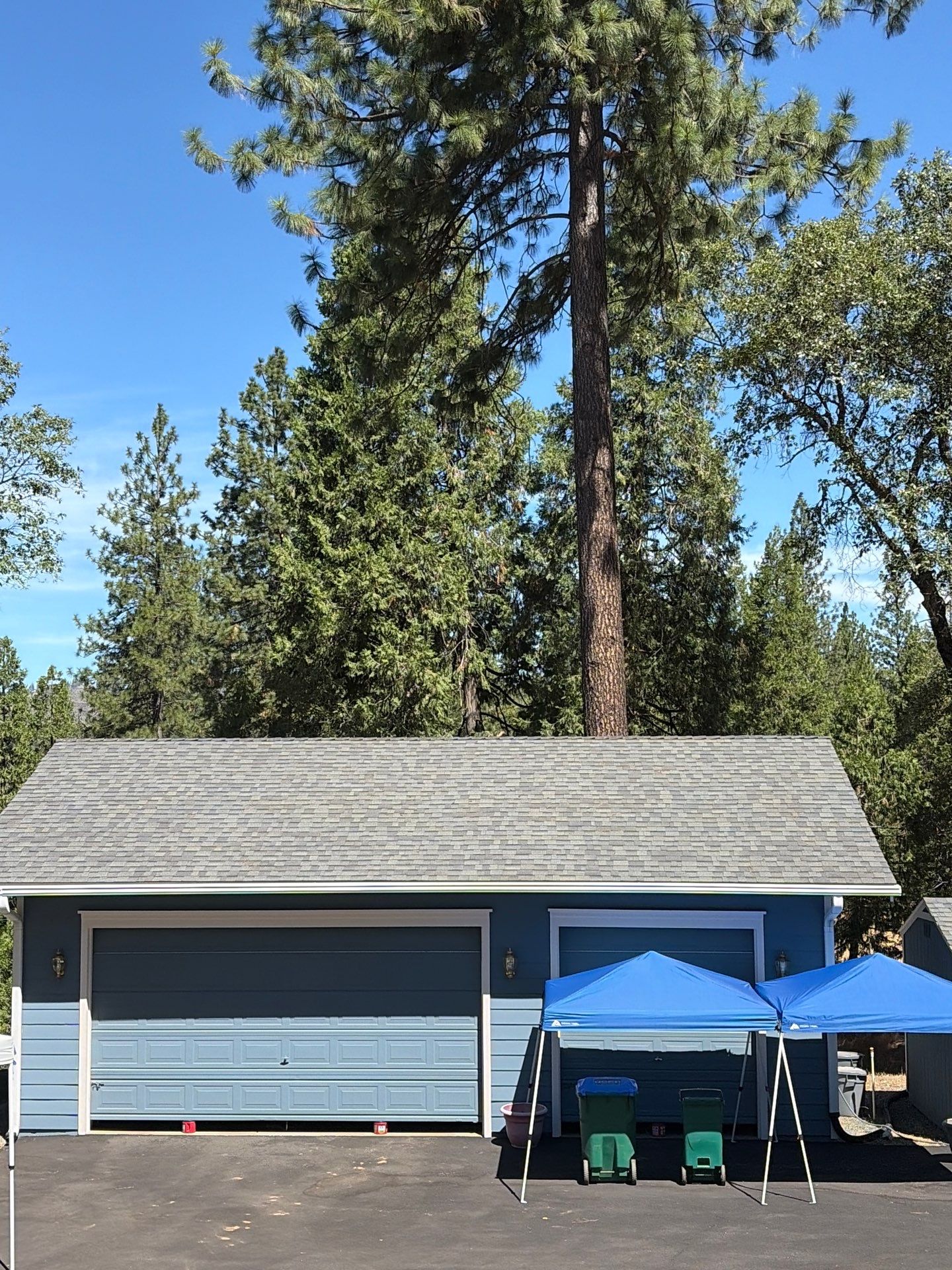 Roof Rejuvenation using Roof Maxx Treatment by Roof Maxx of Folsom