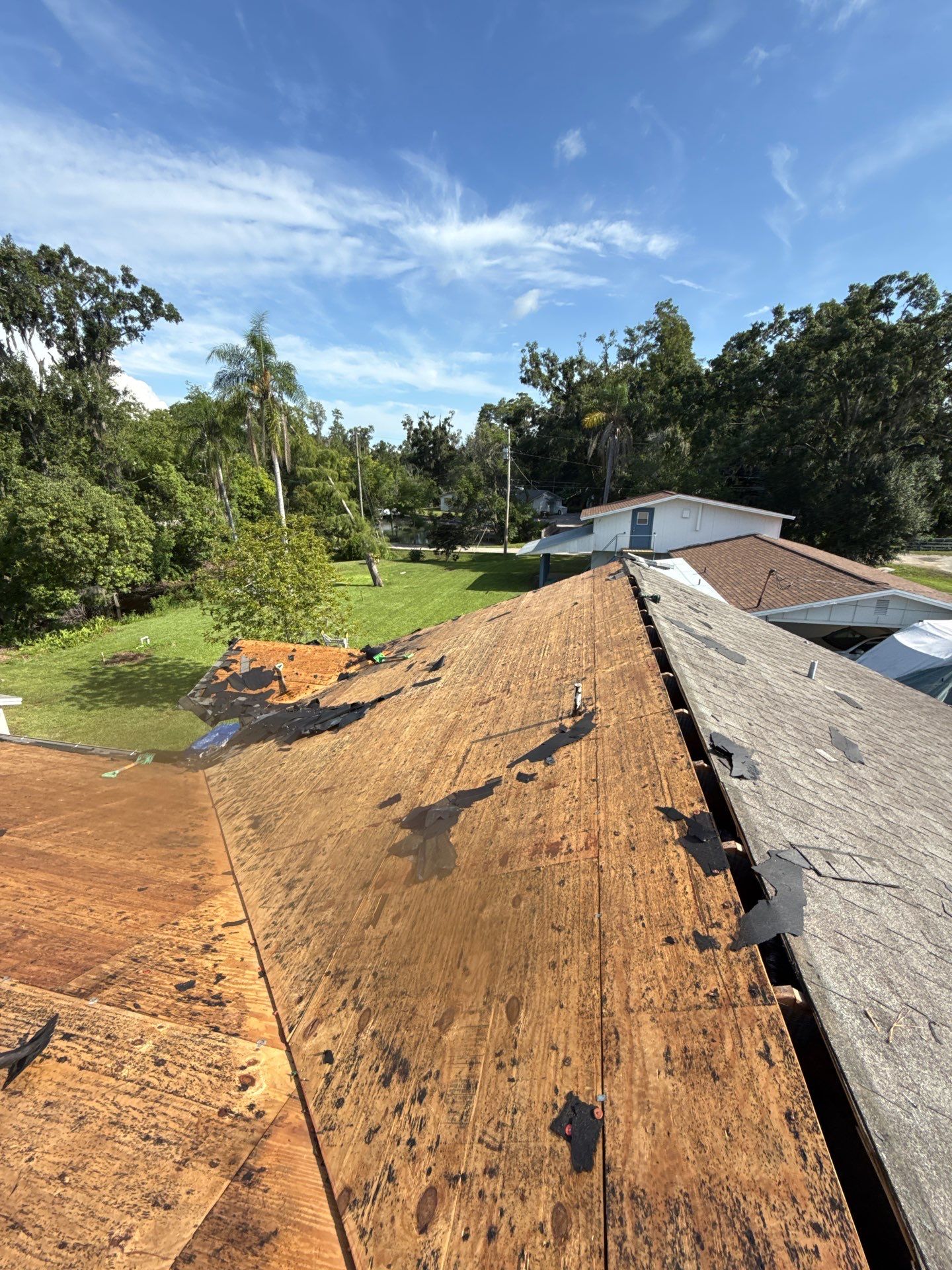 Project in Lutz 33549 by Mitchell Roofing Company LLC 