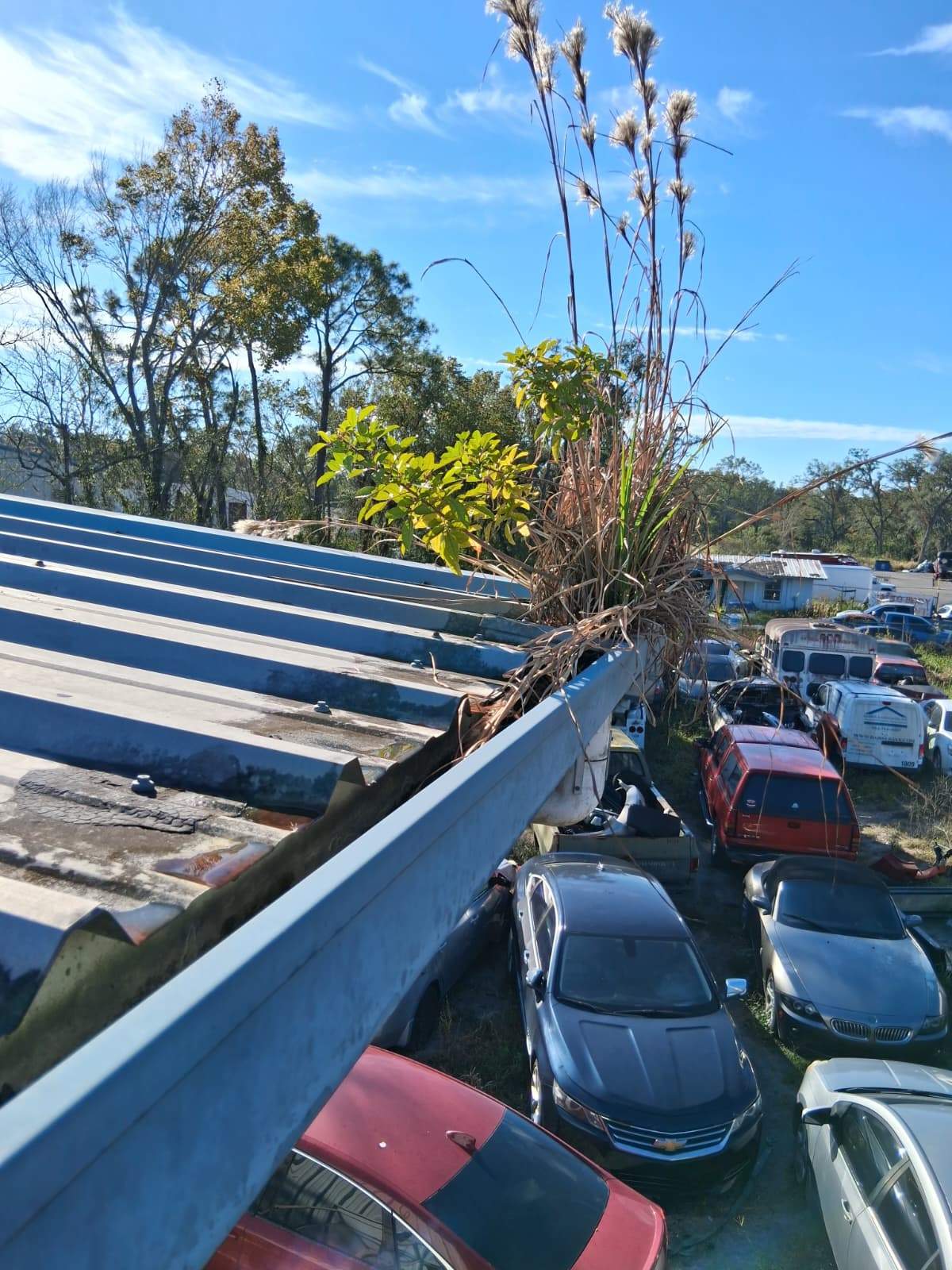 Clean Gutters and Seal Seams in Lakeland FL by Gutter Professors