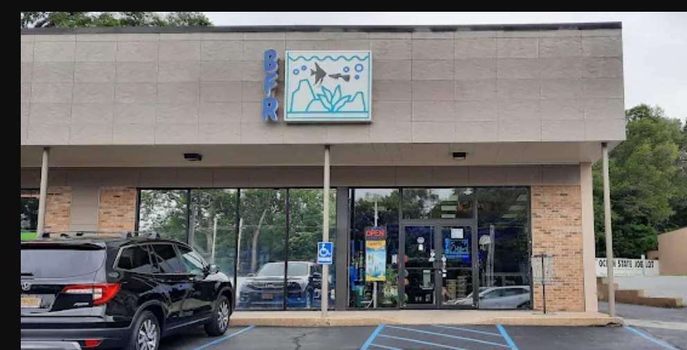 Buckley's Fish Room LED Sign & Door Vinyl by FASTSIGNS of Saratoga Springs