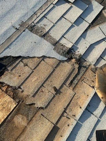 Maria's Full Re-Roof by All Storm Roofing & Construction