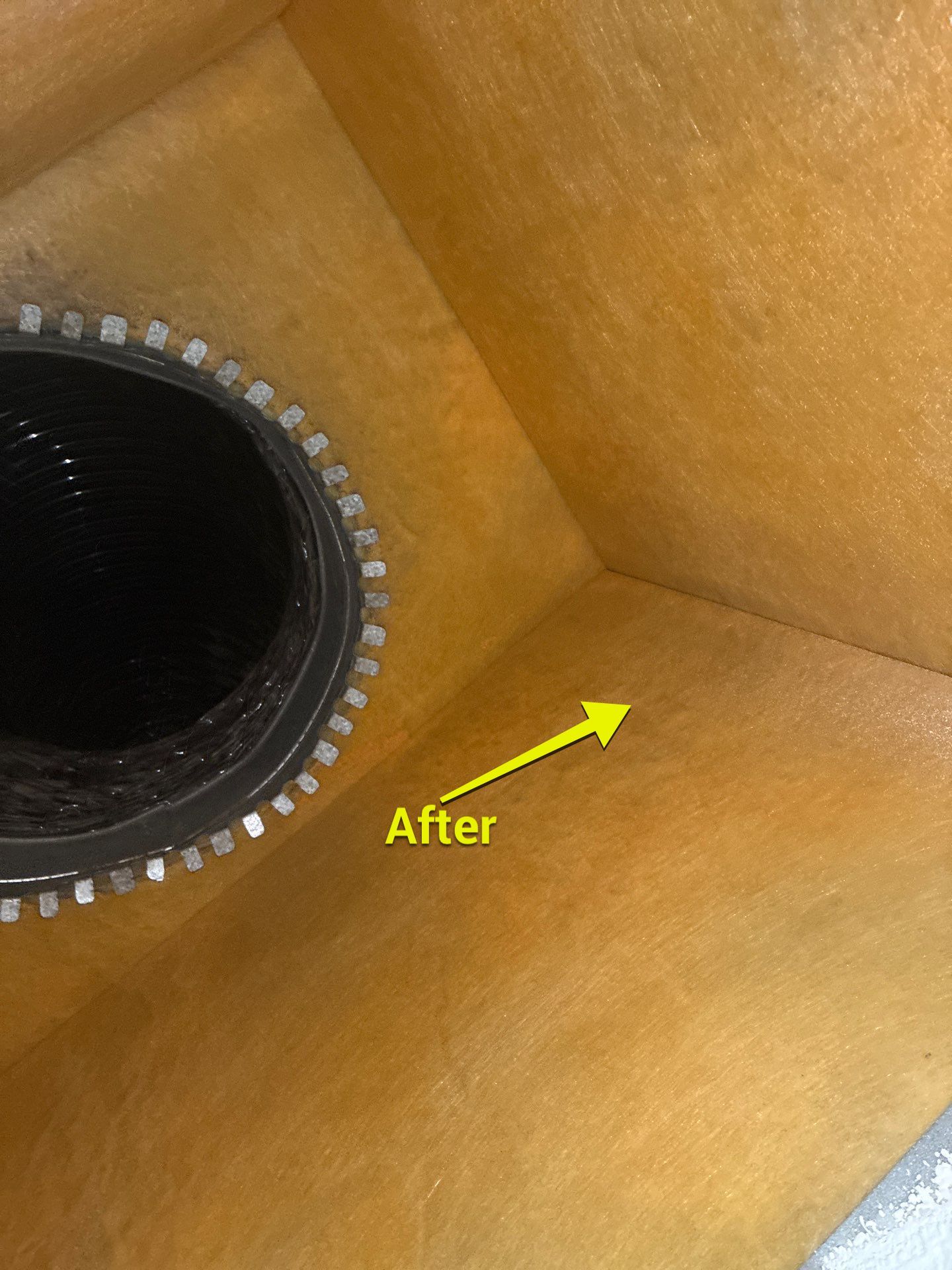 Air Duct Cleaning in Winter Garden by Hygienic Air, Inc