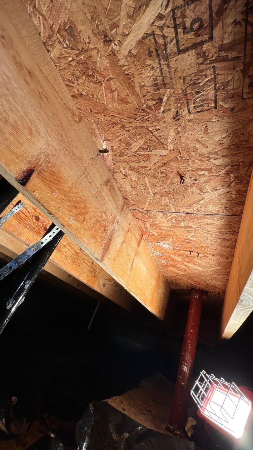 Mold Damage by Accountable Home Services