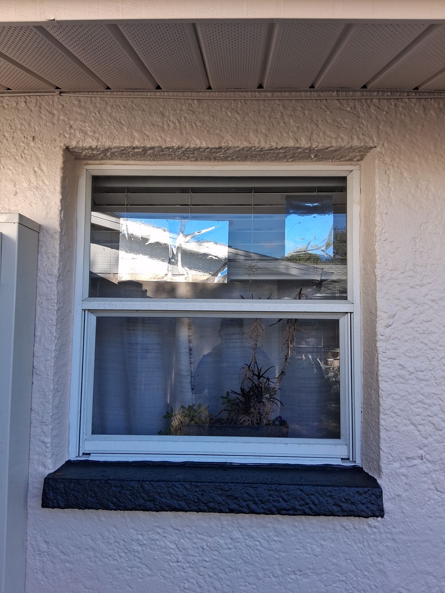 Project in Largo