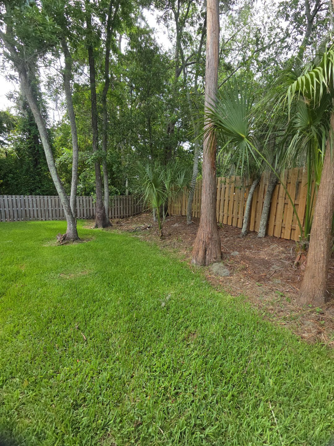 Deerwood Resident | Tree Trimming by ProGreen Services