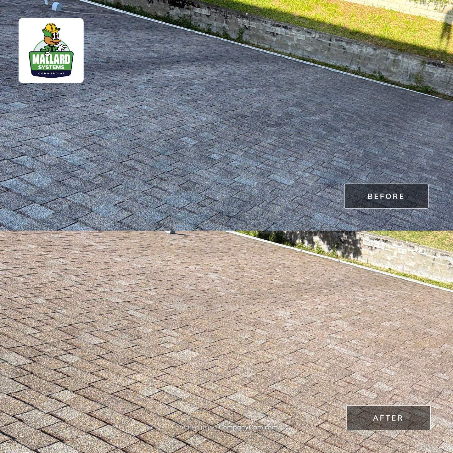 Shingle Roof Cleaning at Kissimmee Commercial Center by Mallard Systems