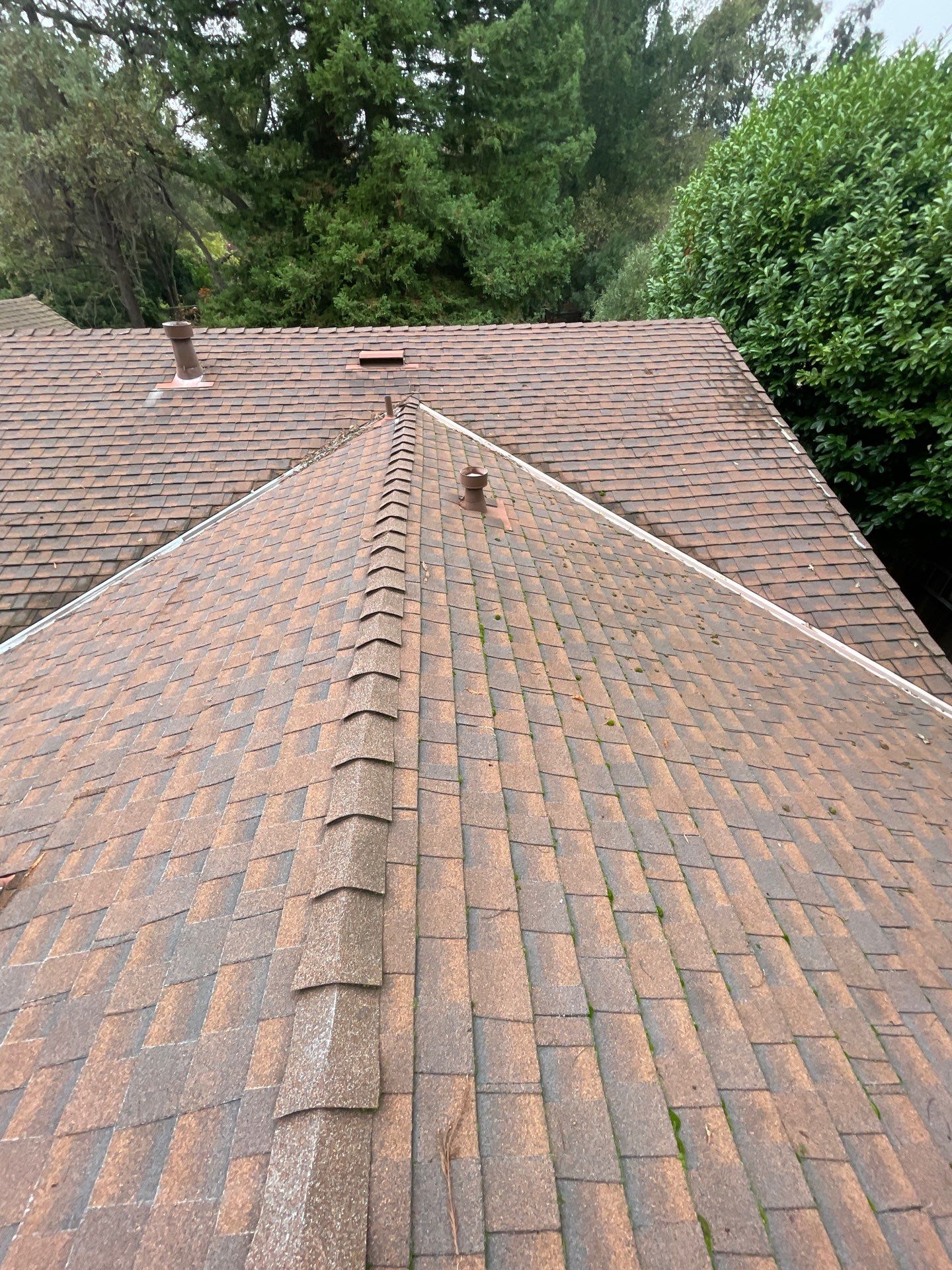 Roof Rejuvenation using Roof Maxx Treatment by Roof Maxx of Folsom
