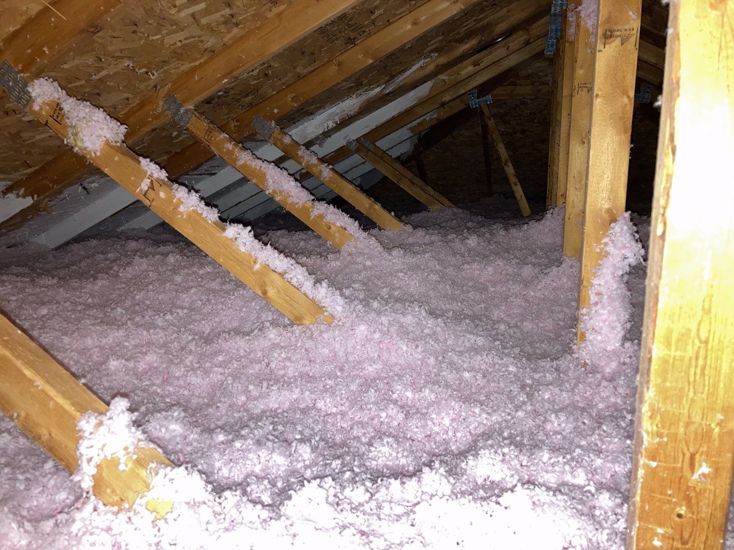 Mold Remediation Cleanup in Attic by Accountable Home Services