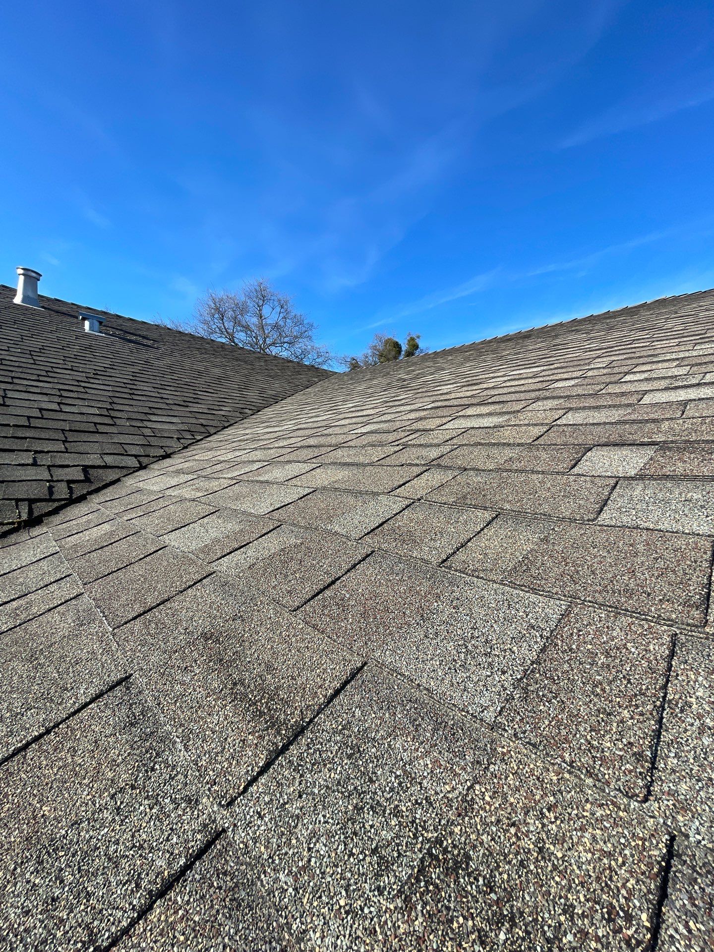 Roof Rejuvenation using Roof Maxx Treatment by Roof Maxx of Folsom