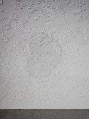 Project in Poinciana