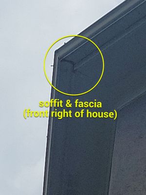 Project in Alpharetta