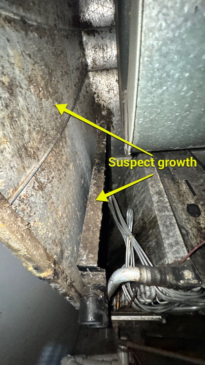 Extremely Dirty Air Duct Cleaning in Fruitland Park by Hygienic Air, Inc
