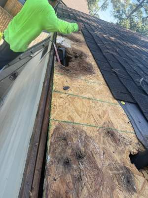 Project in Houston, TX