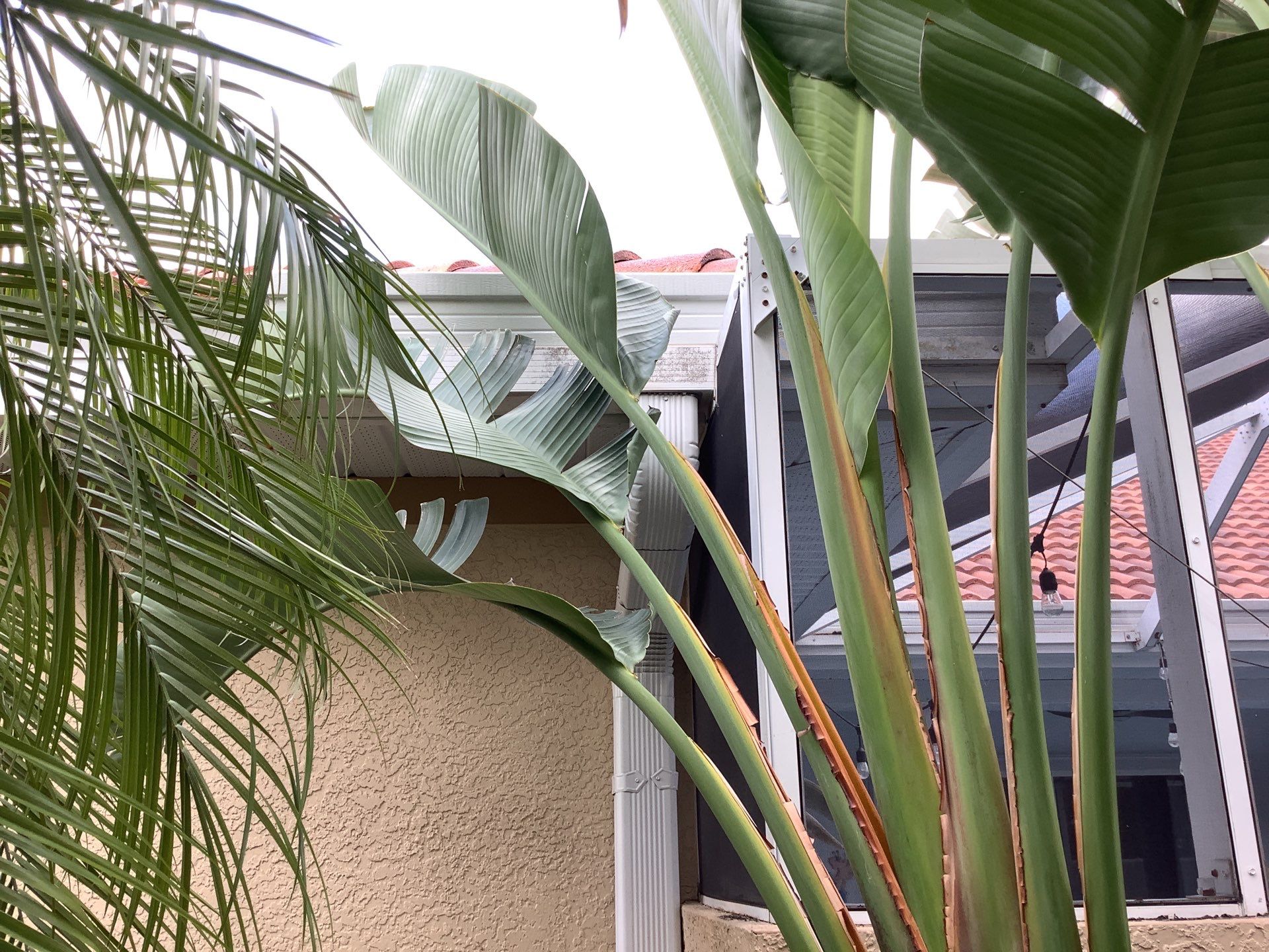 Gutter Guard System in Fort Myers FL by Gutter Professor by Gutter Professors