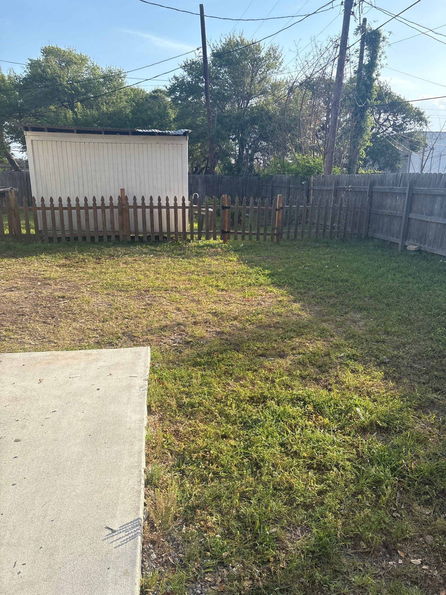 Olive you a Lot! by Bayfront Roofing and Construction