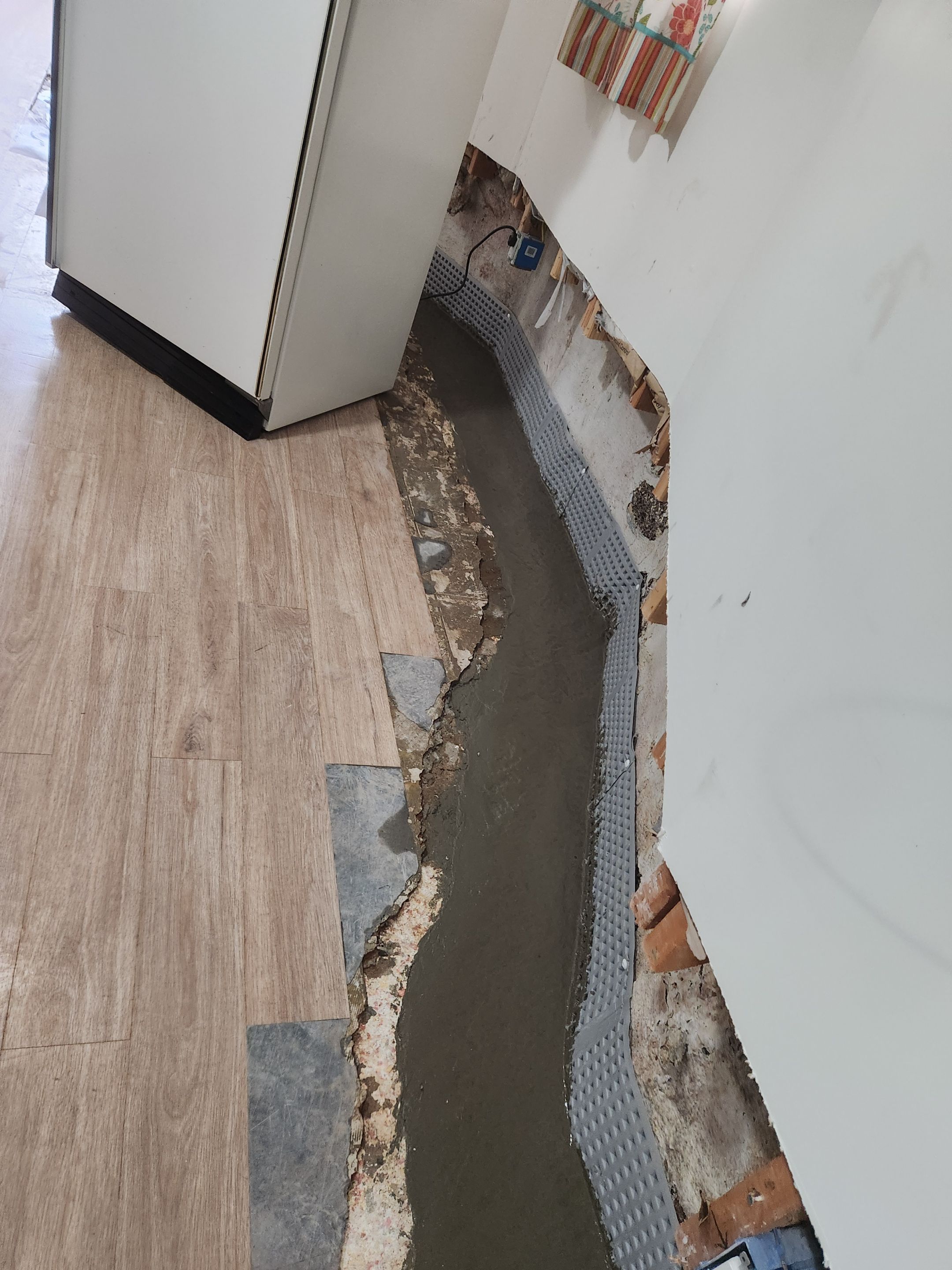 Interior French Drain Kearny NJ by Pure Service Pro, LLC 