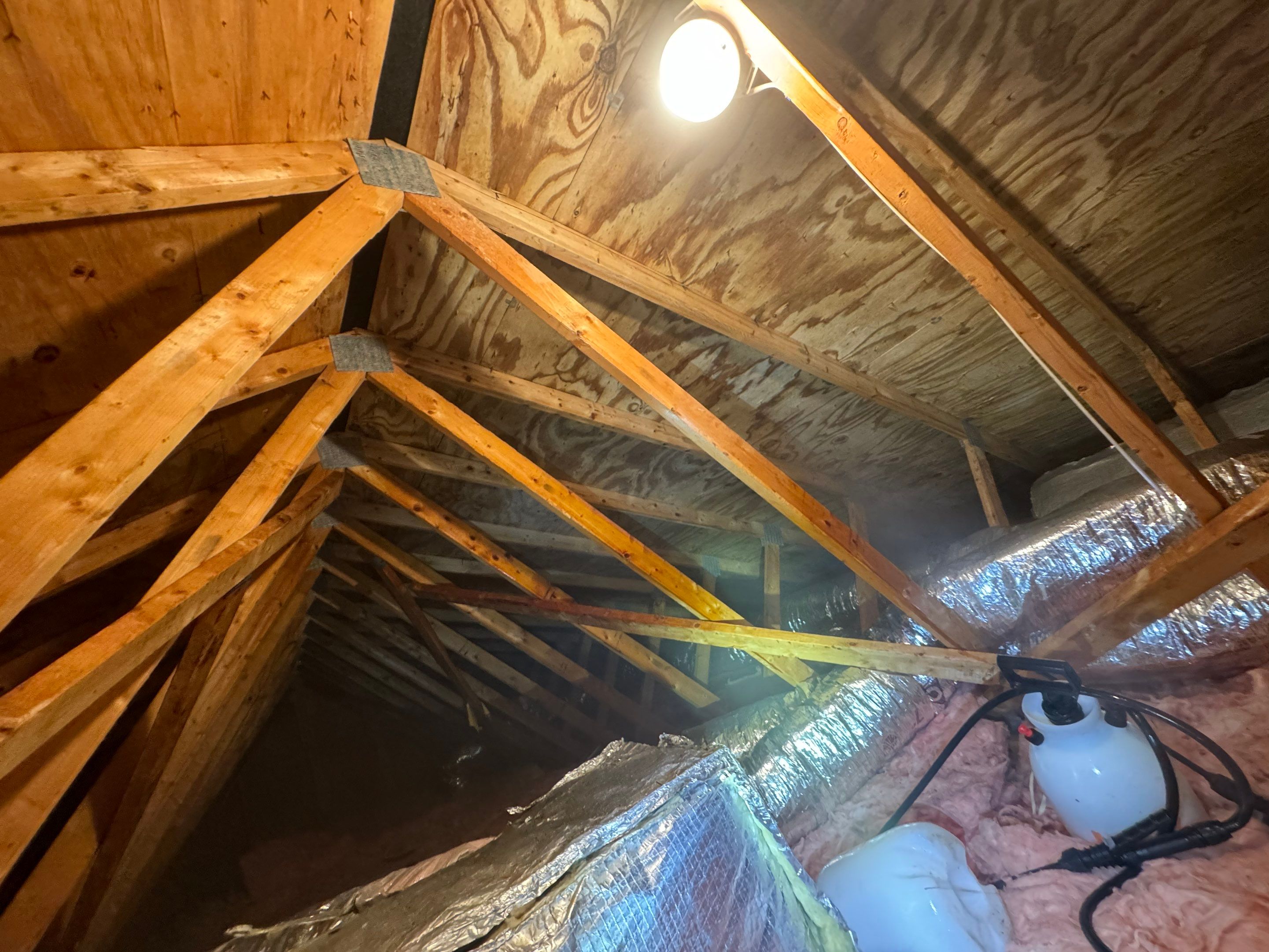 Attic Mold Remediation by Home Guarantee, LLC