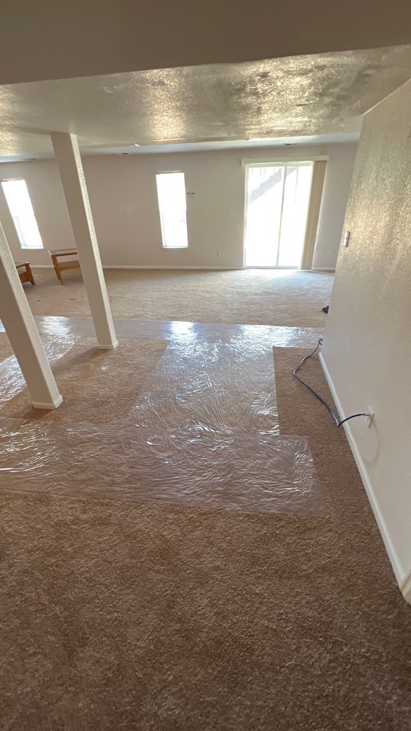 Mold Damage by Accountable Home Services