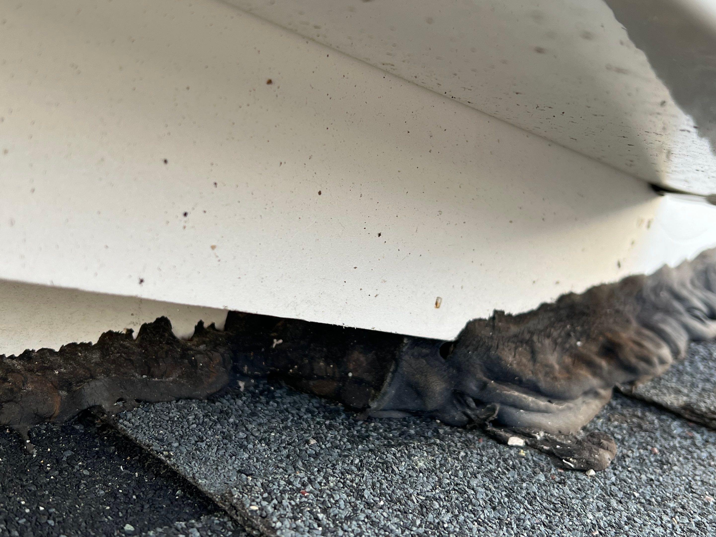 Roofing | Haverhill by Mighty Dog Roofing of Greater Middlesex County