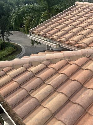 Project in Parkland