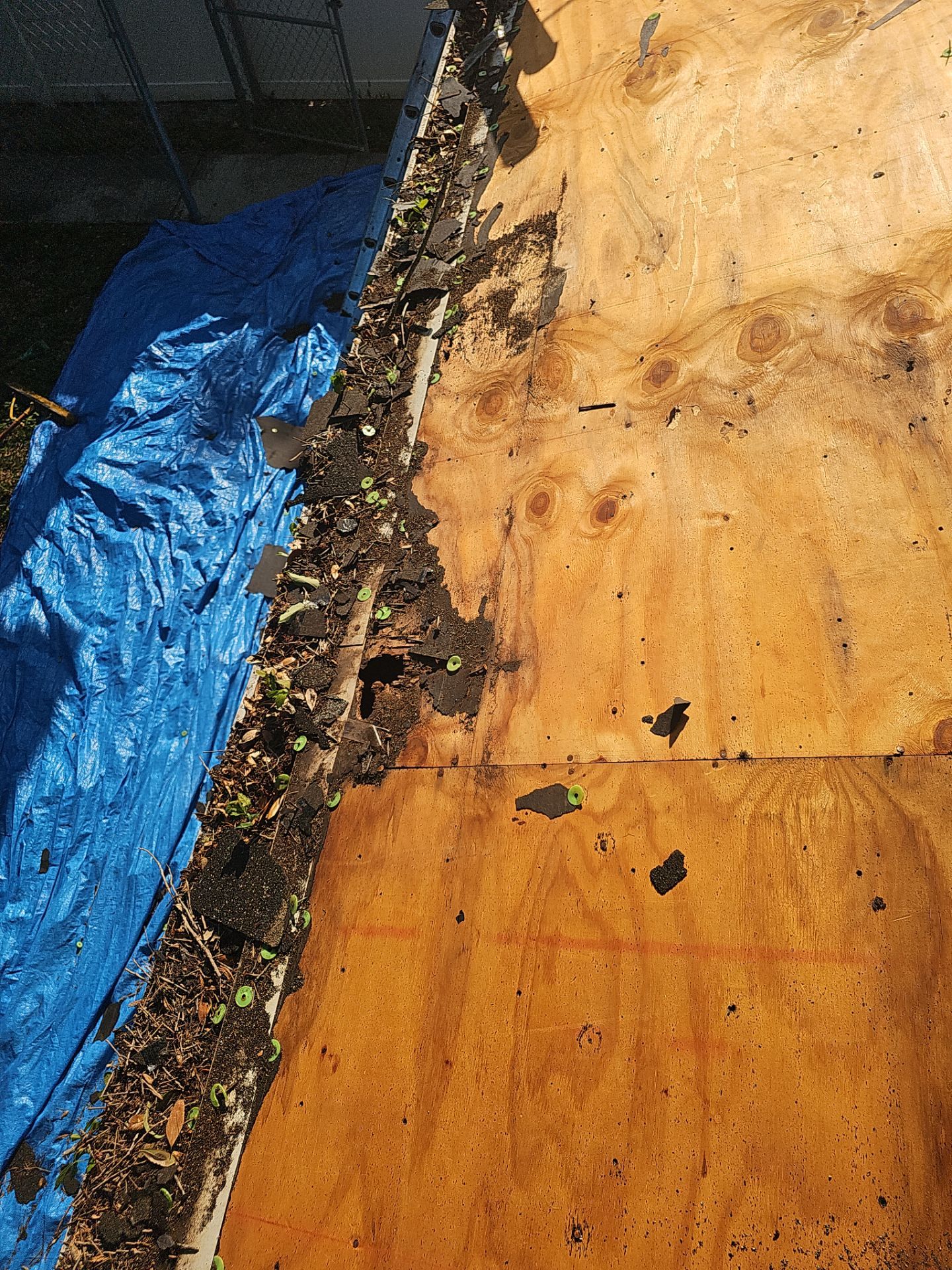 Project in St. Petersburg 33712 by Mitchell Roofing Company LLC