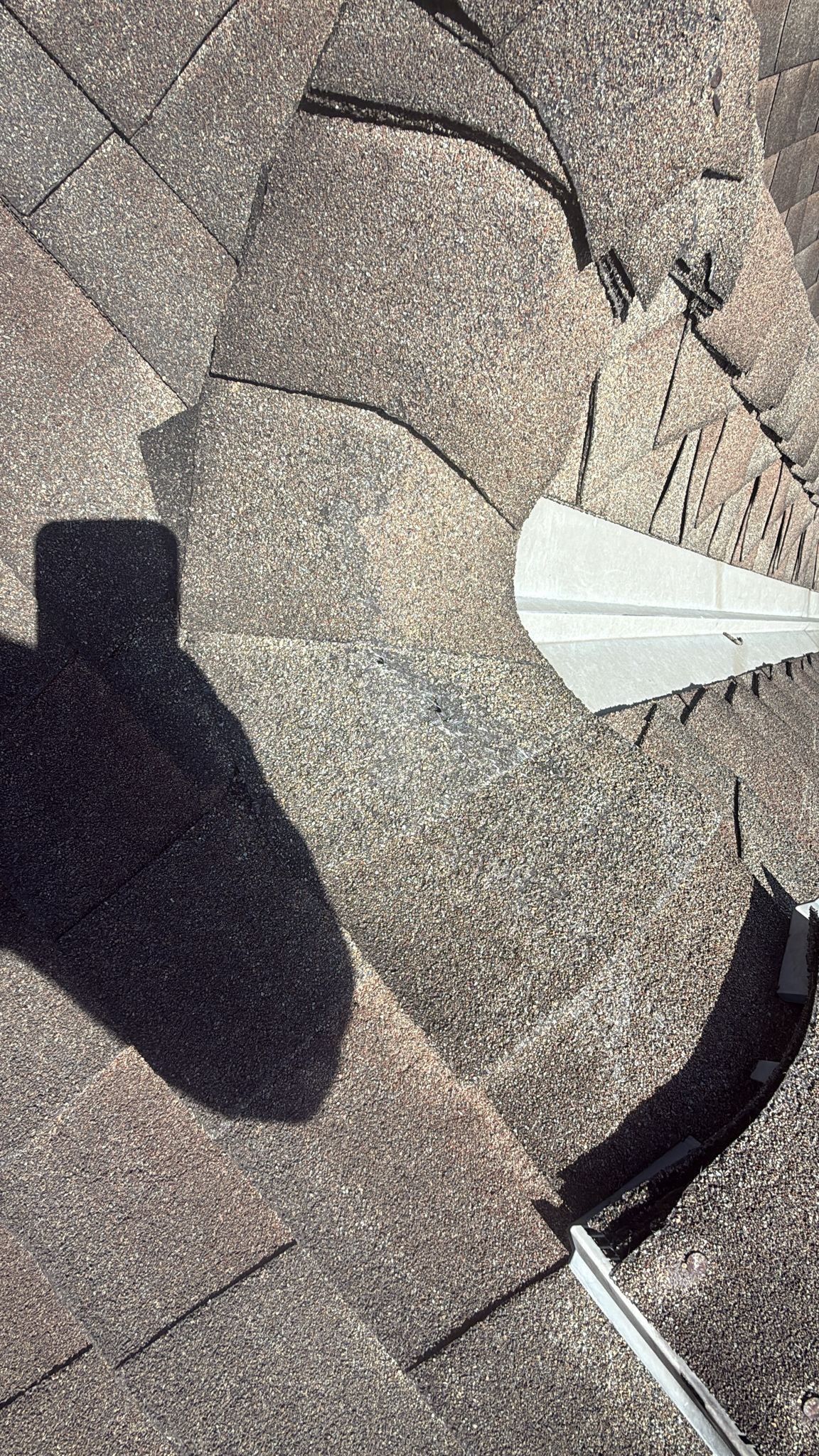Roof Repair Spring by Roof Repair Company