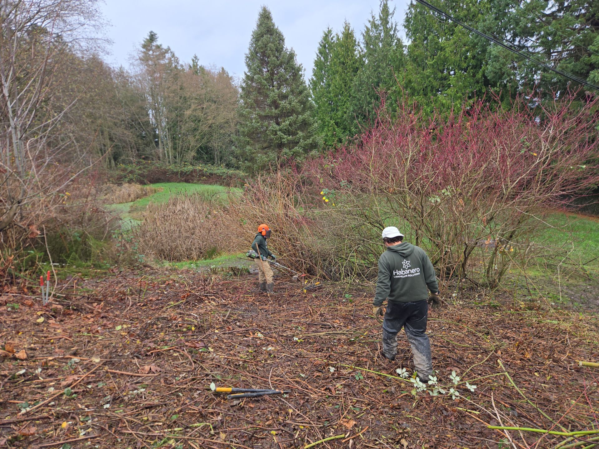 Island View - Ecological Restoration & Stewardship by Habanero Landscape Solutions
