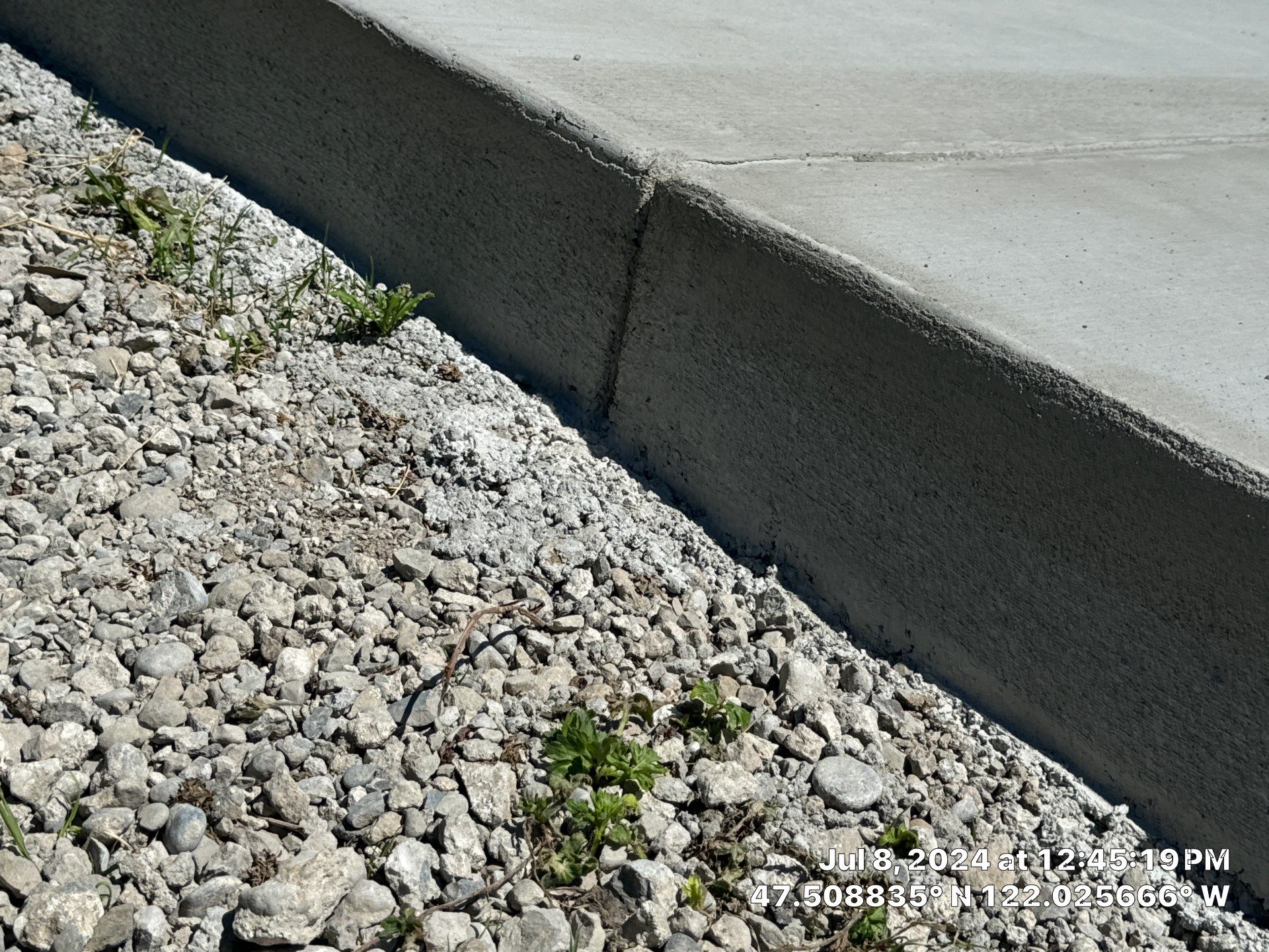 Lauren | Concrete Driveway, Back Patio & Asphalt Patch Repair  by Jireh Asphalt & Concrete Inc 