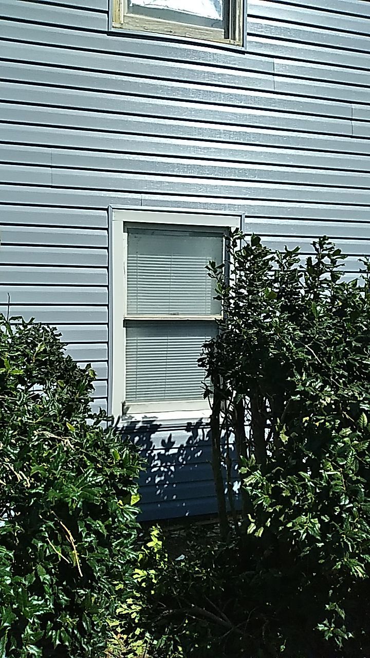 Interior and exterior renovation using Royal Building Products  by Indigo State Roofing