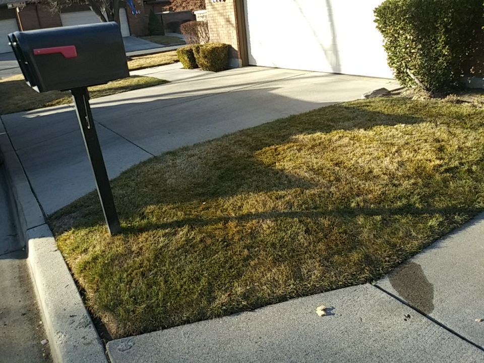 Storm Damaged Roof using GAF Timberline HDZ - Lifetime Shingle by The Roof Doctor