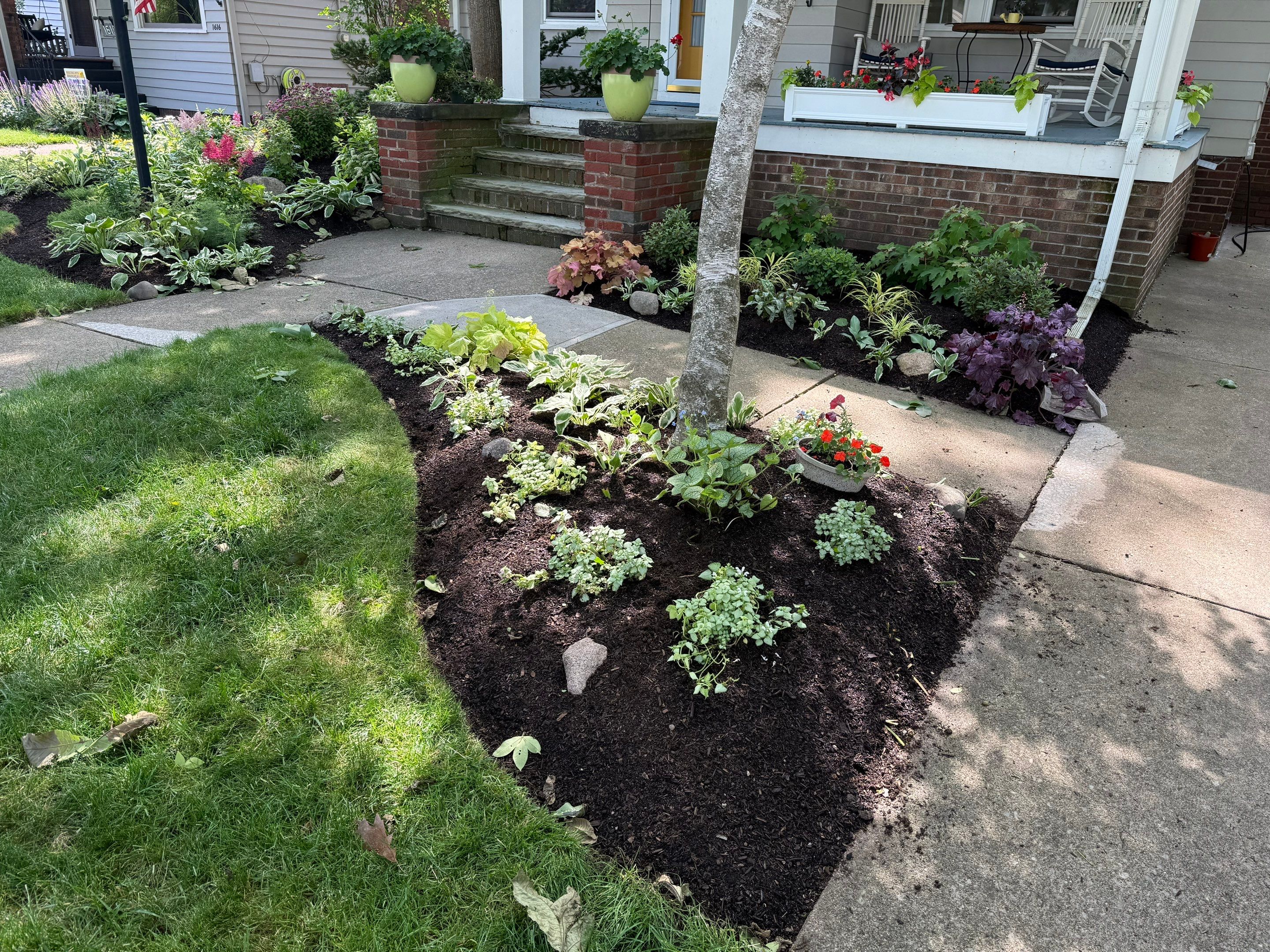 Woodland Flora Project by Elm Rose Gardens