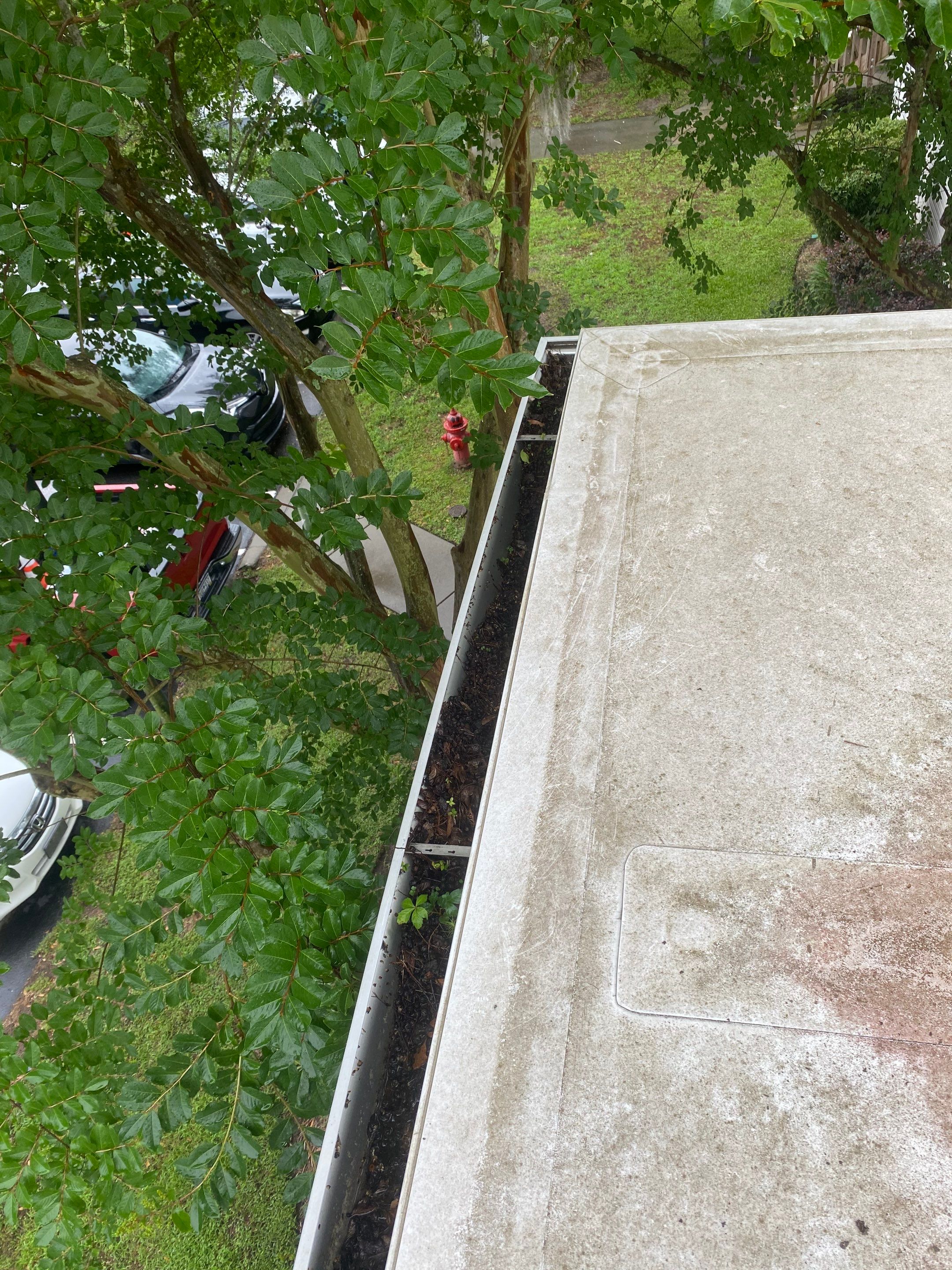 Commercial gutter cleaning Mount Pleasant, SC before photo with filled gutters