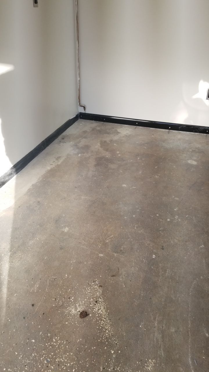 Installers have Feline supervision by Spectrum Painting, LLC