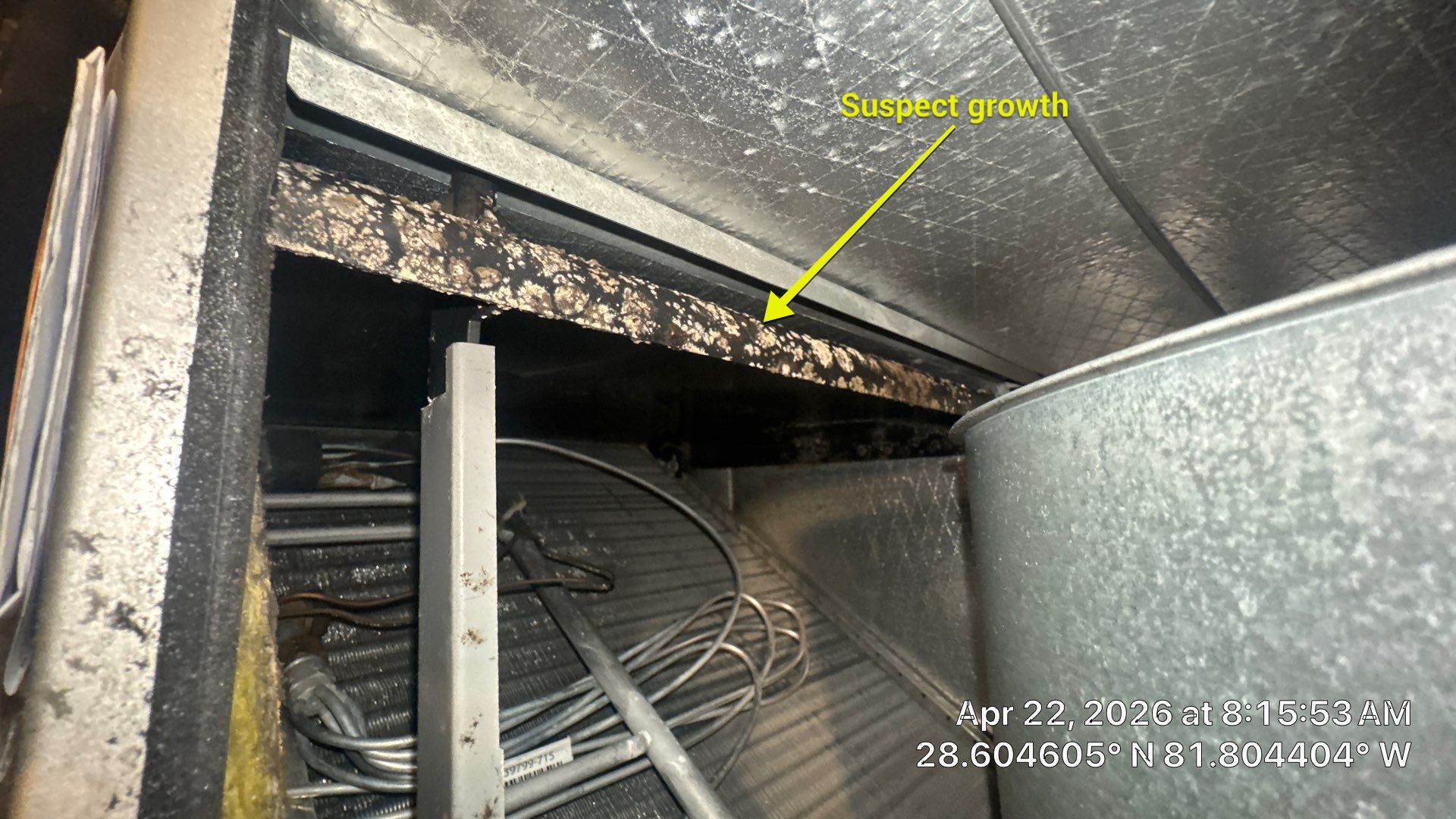 Air Duct Cleaning in Groveland by Hygienic Air, Inc