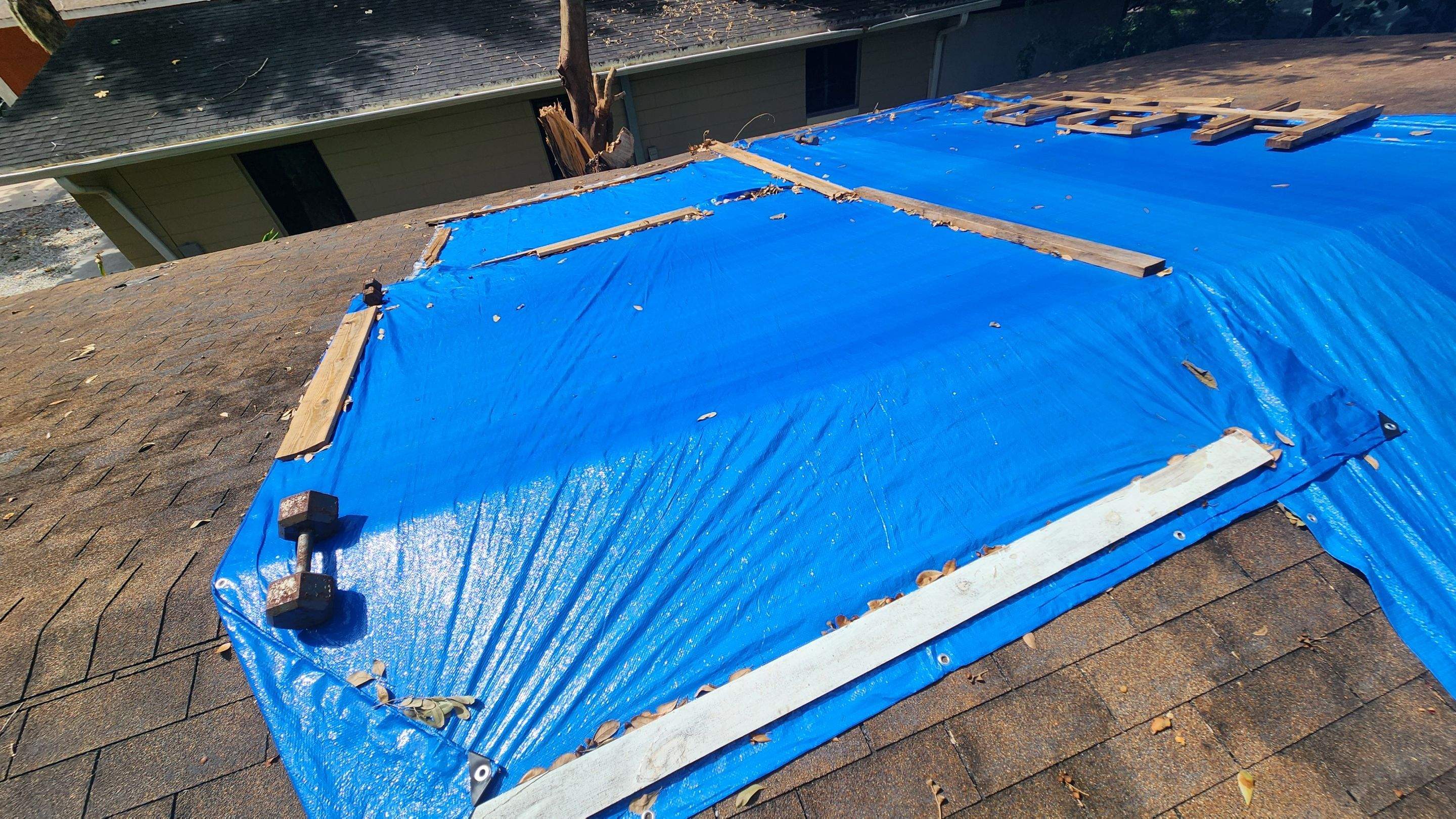 Tree Damage Claim in Orlando by FLAPA & KeyStone