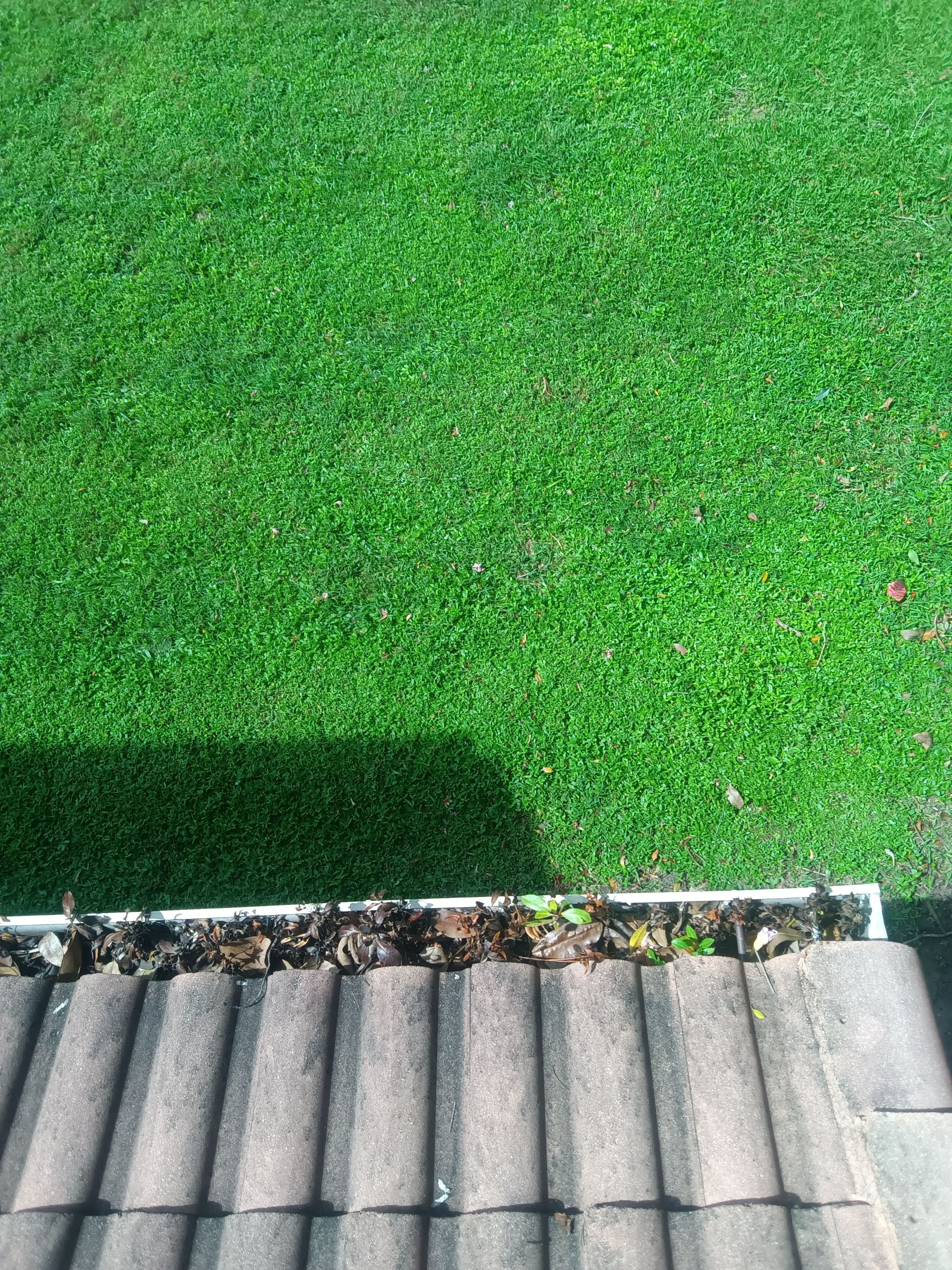 Commercial gutter cleaning Boca Raton & Delray Beach, FL before photo with filled gutters