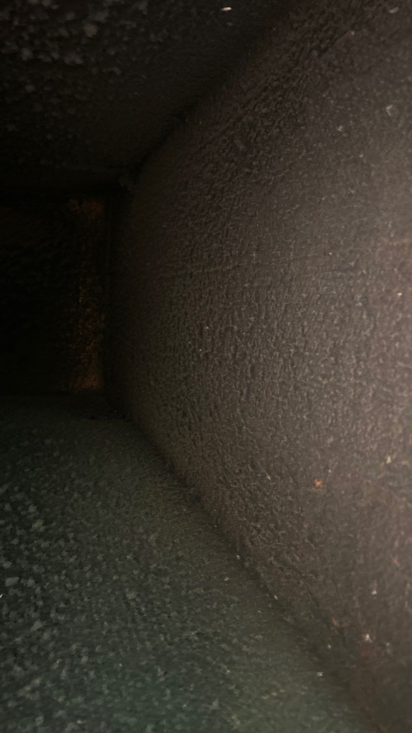 Commercial Air Duct Cleaning in Mount Dora by Hygienic Air, Inc