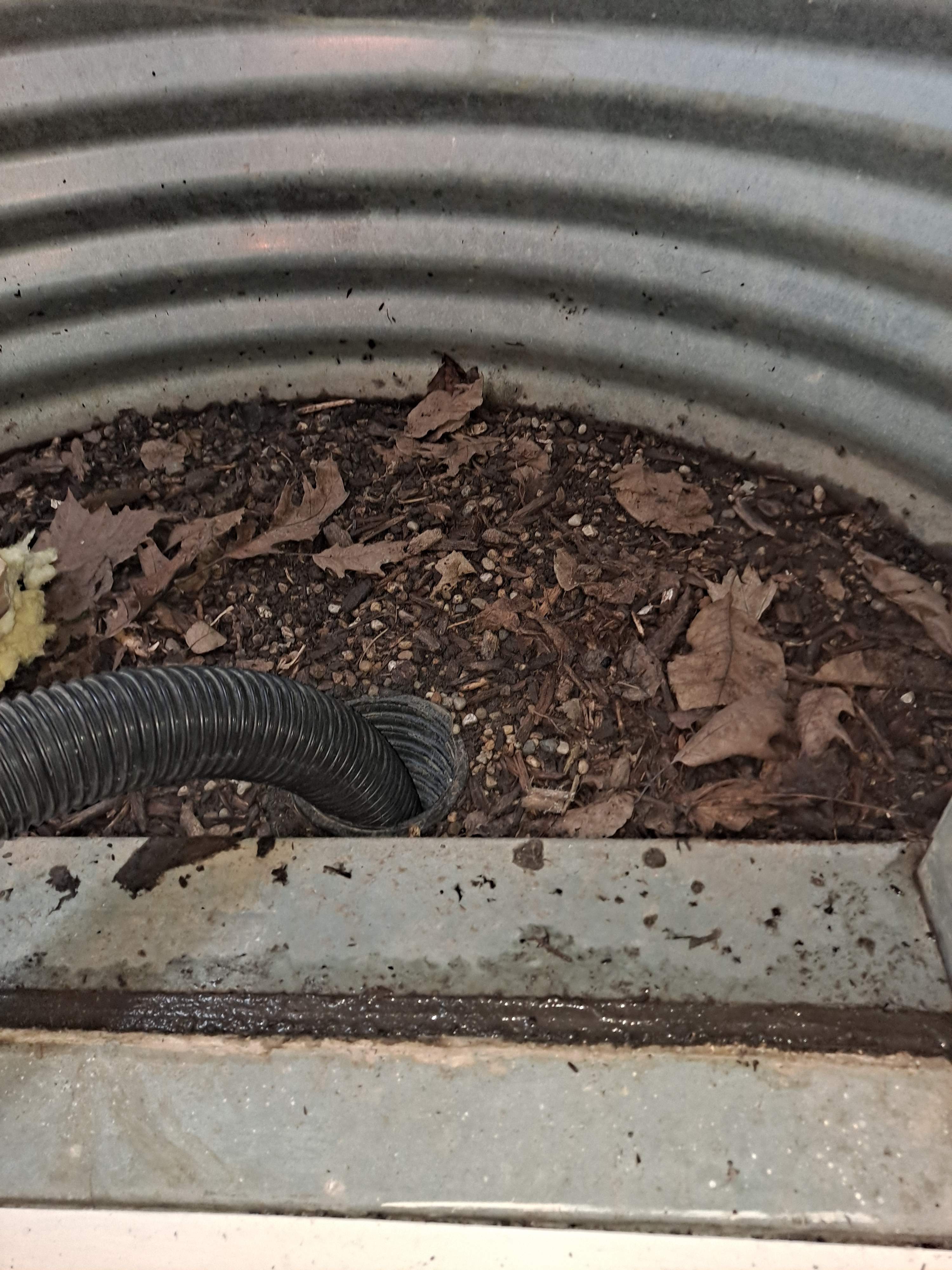 Window Well Drain Cleanout by Allied Water Services