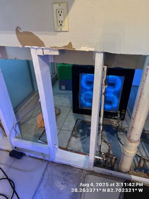 Mold